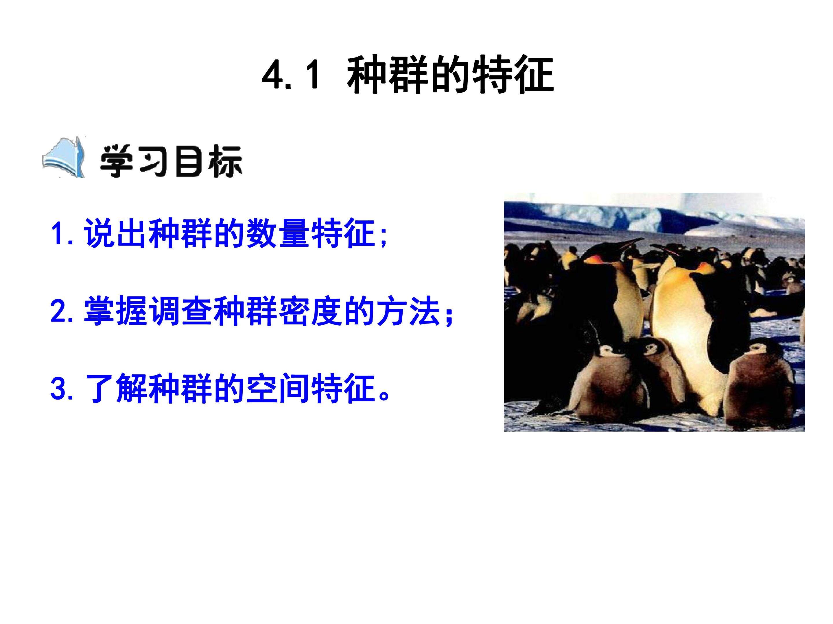 种群的特征