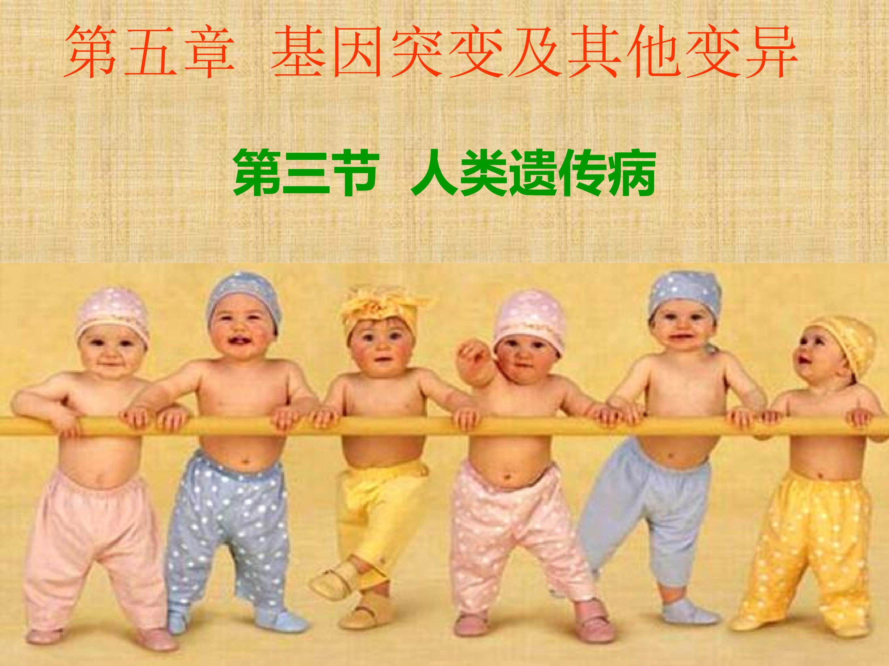 人类遗传病