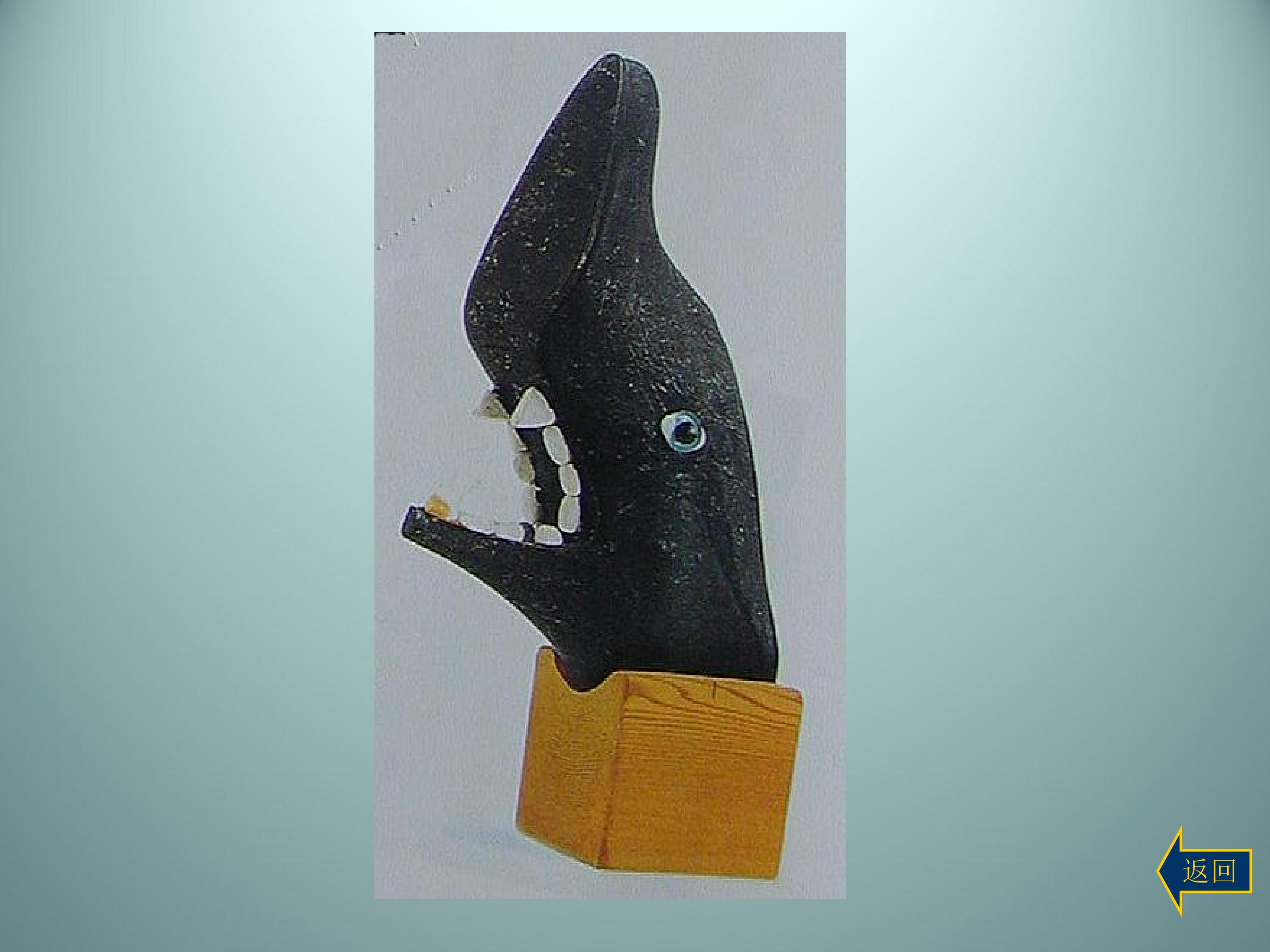 104.jpg
