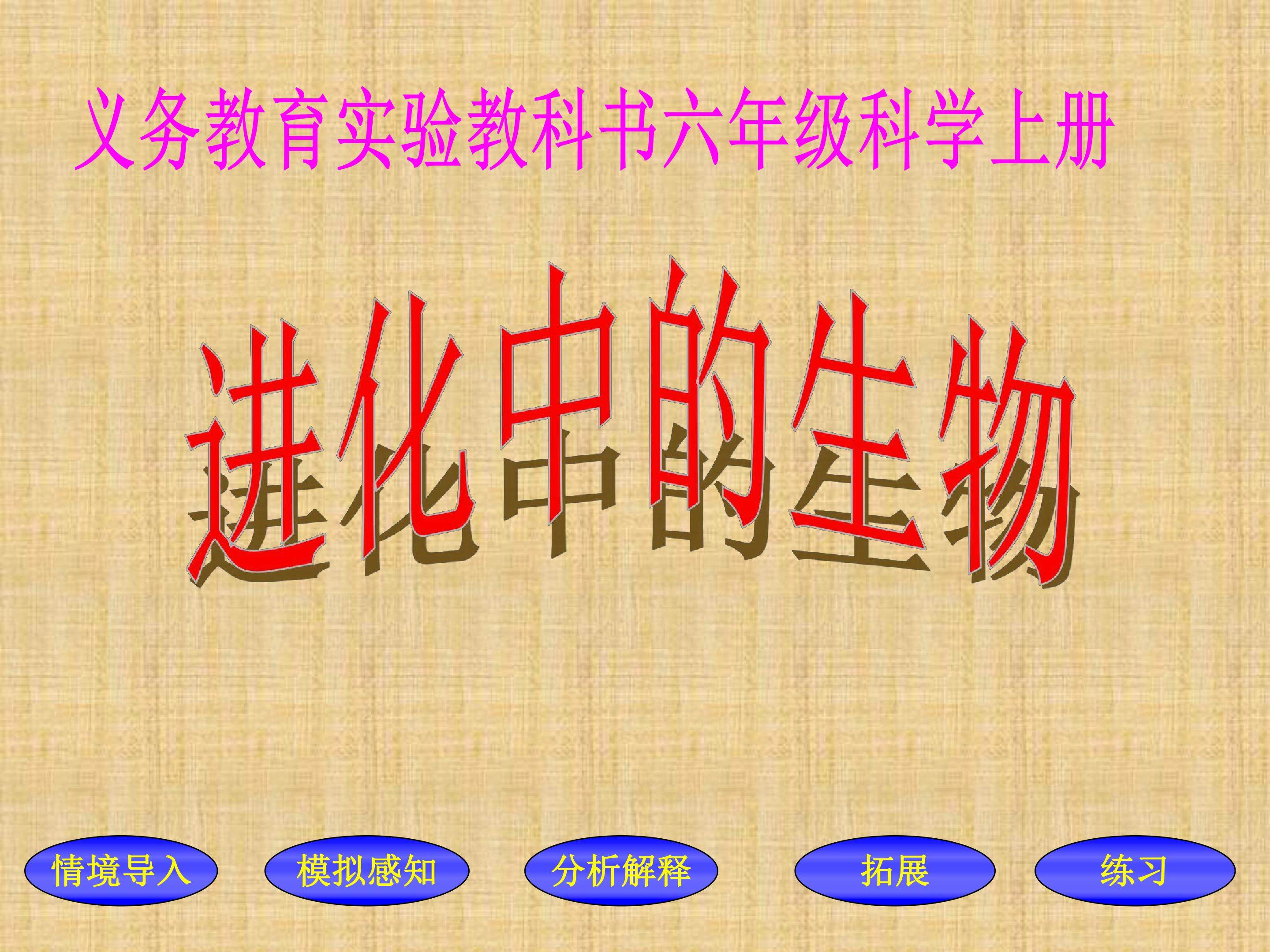 生物的进化 (2)