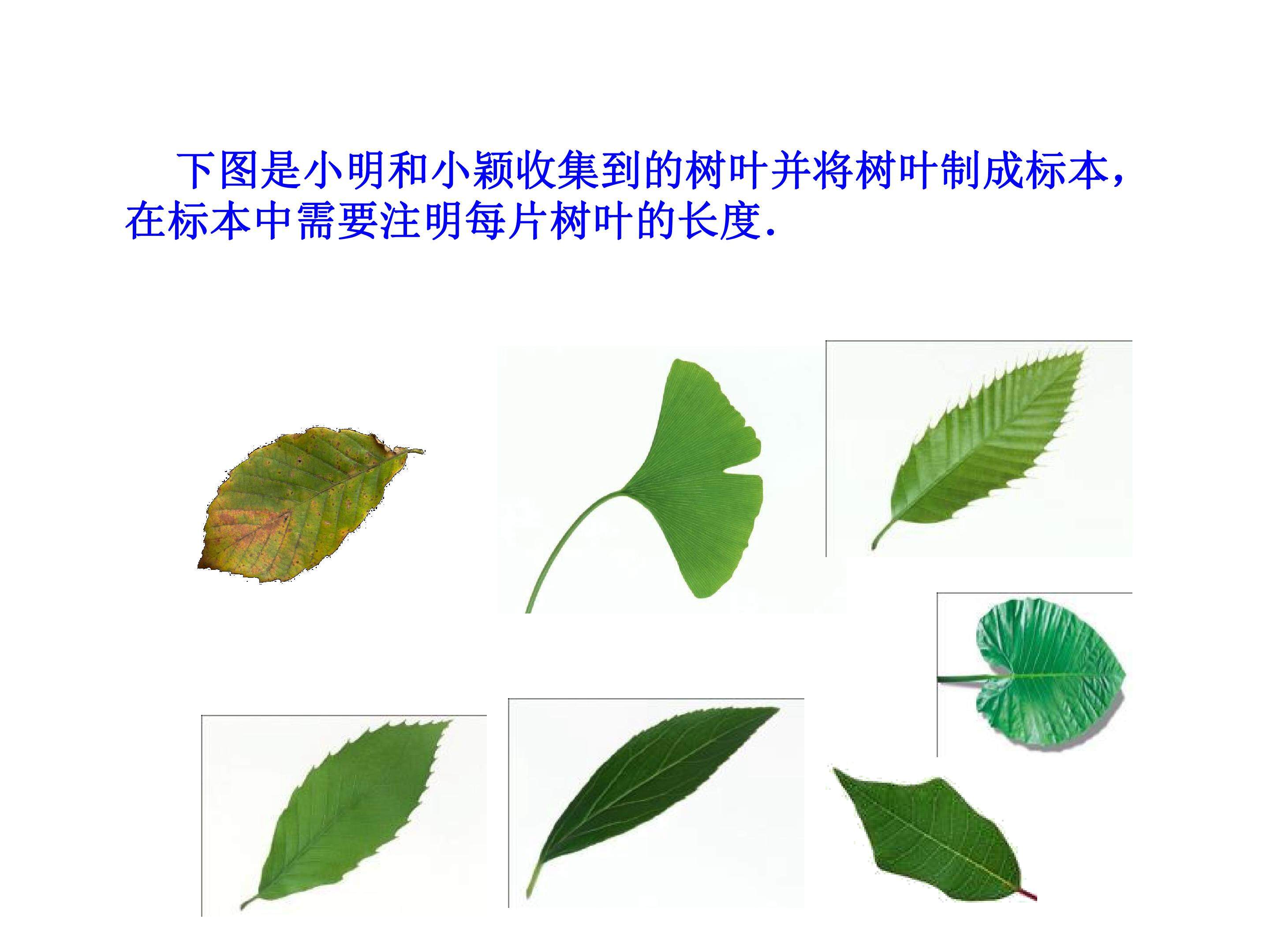近似数