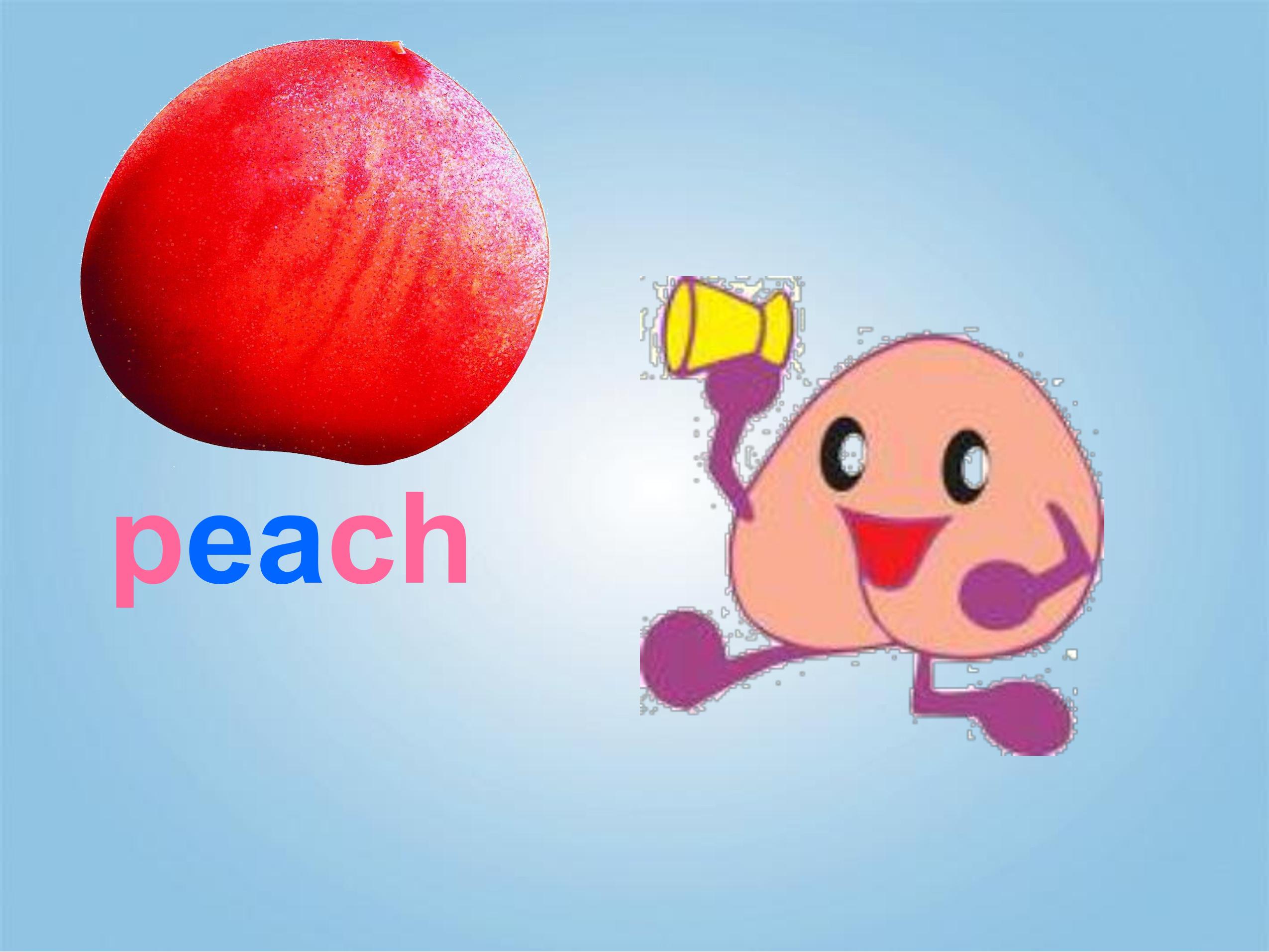 4.jpg