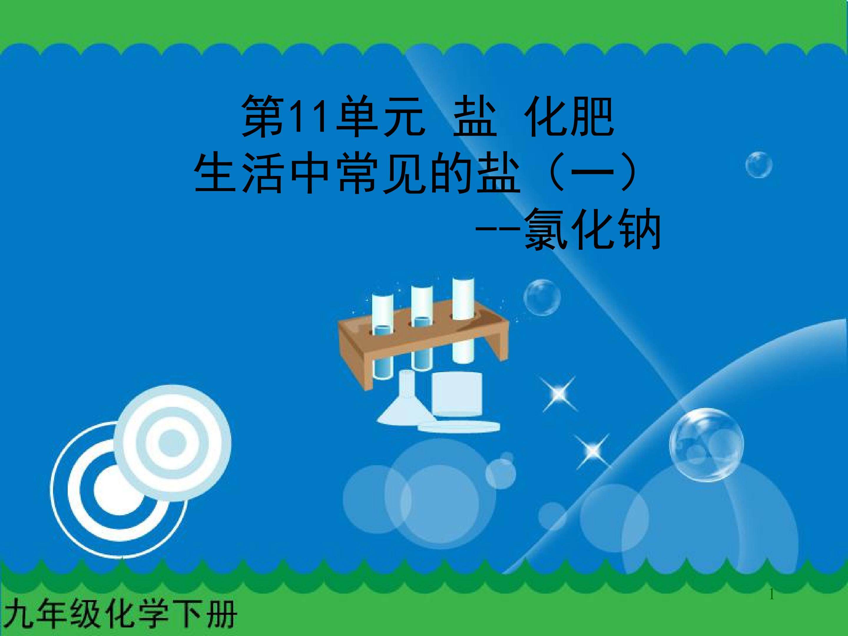 生活中常见的盐课件