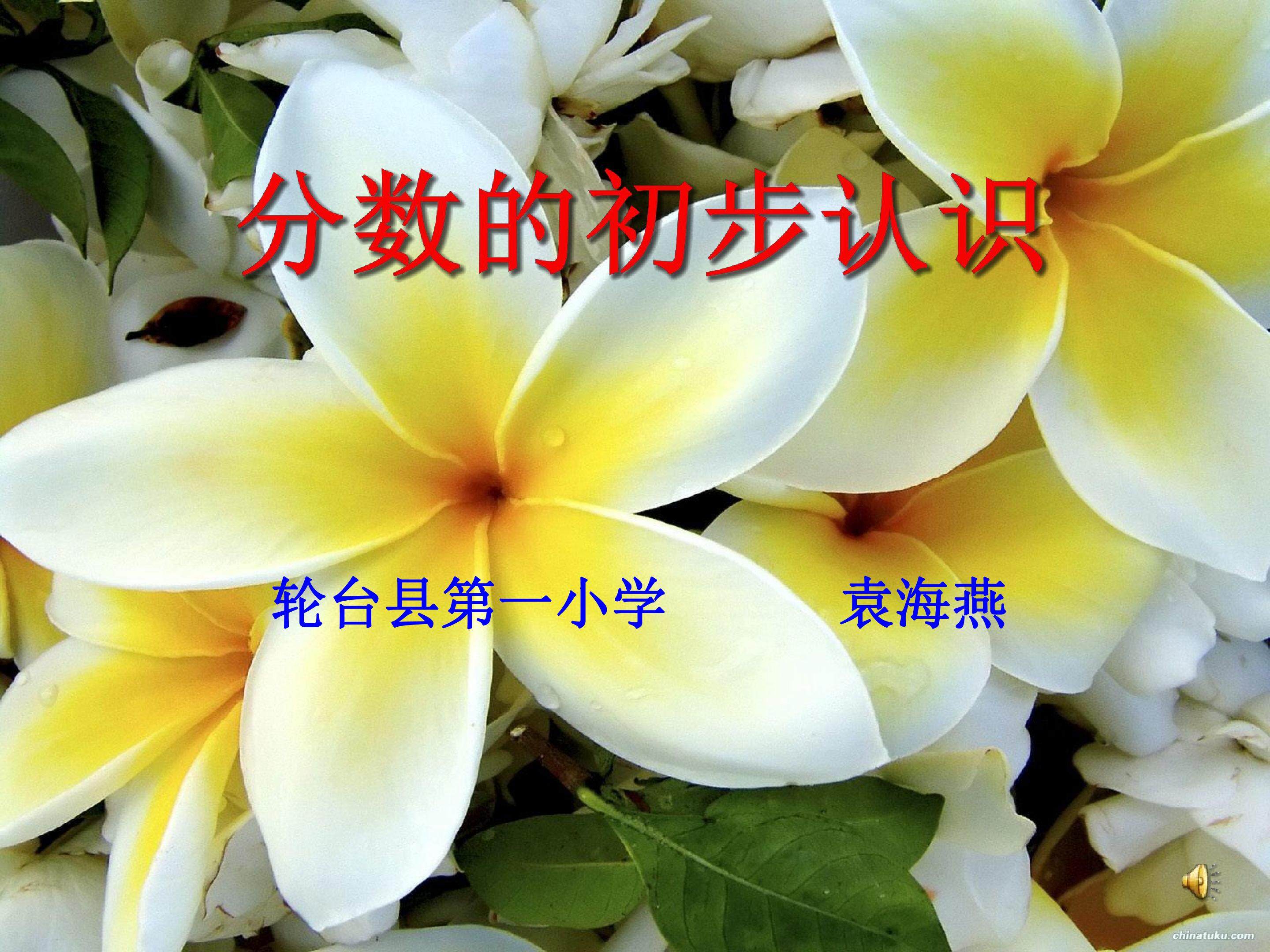 分数的初步认识