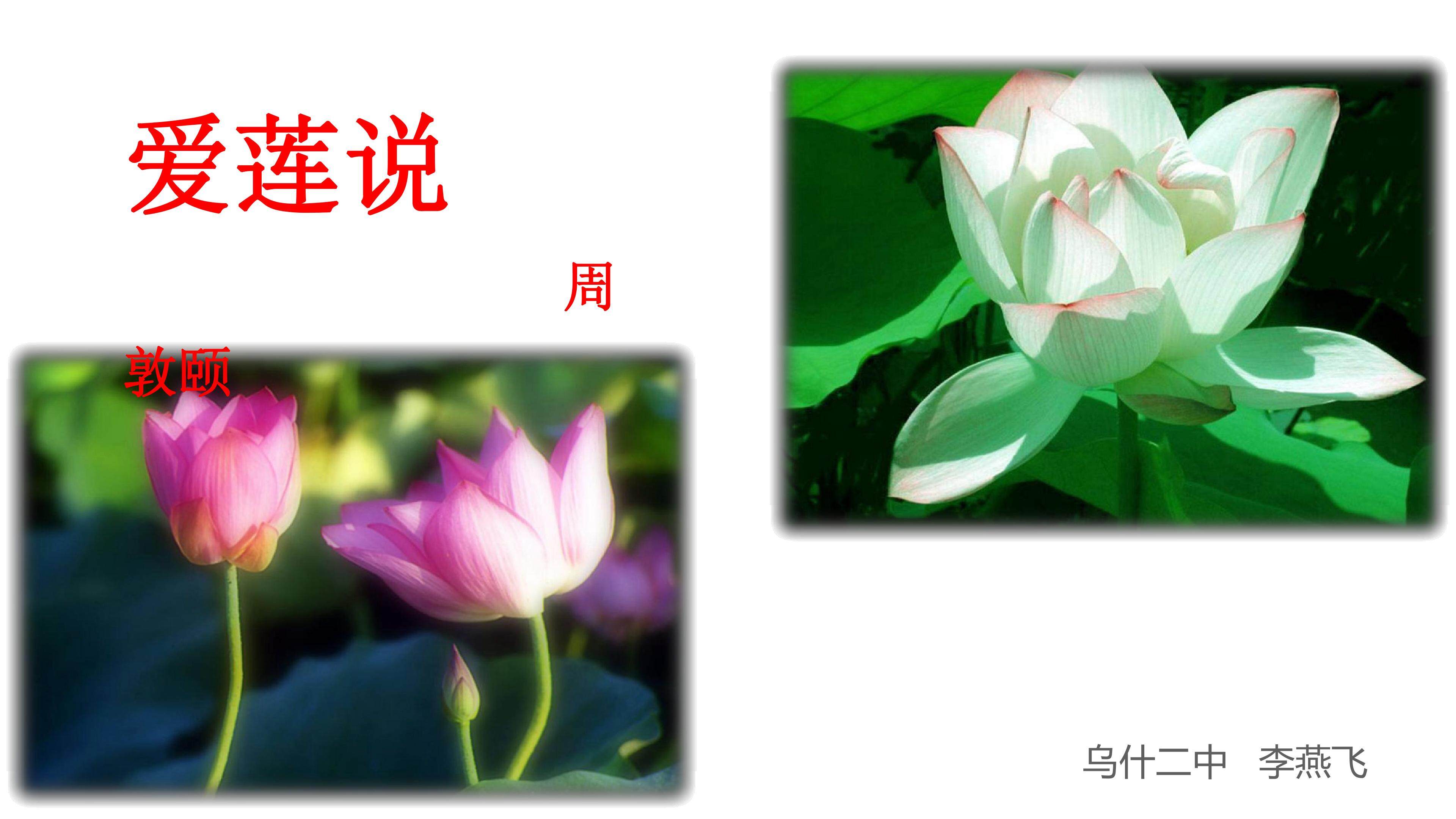 爱莲说