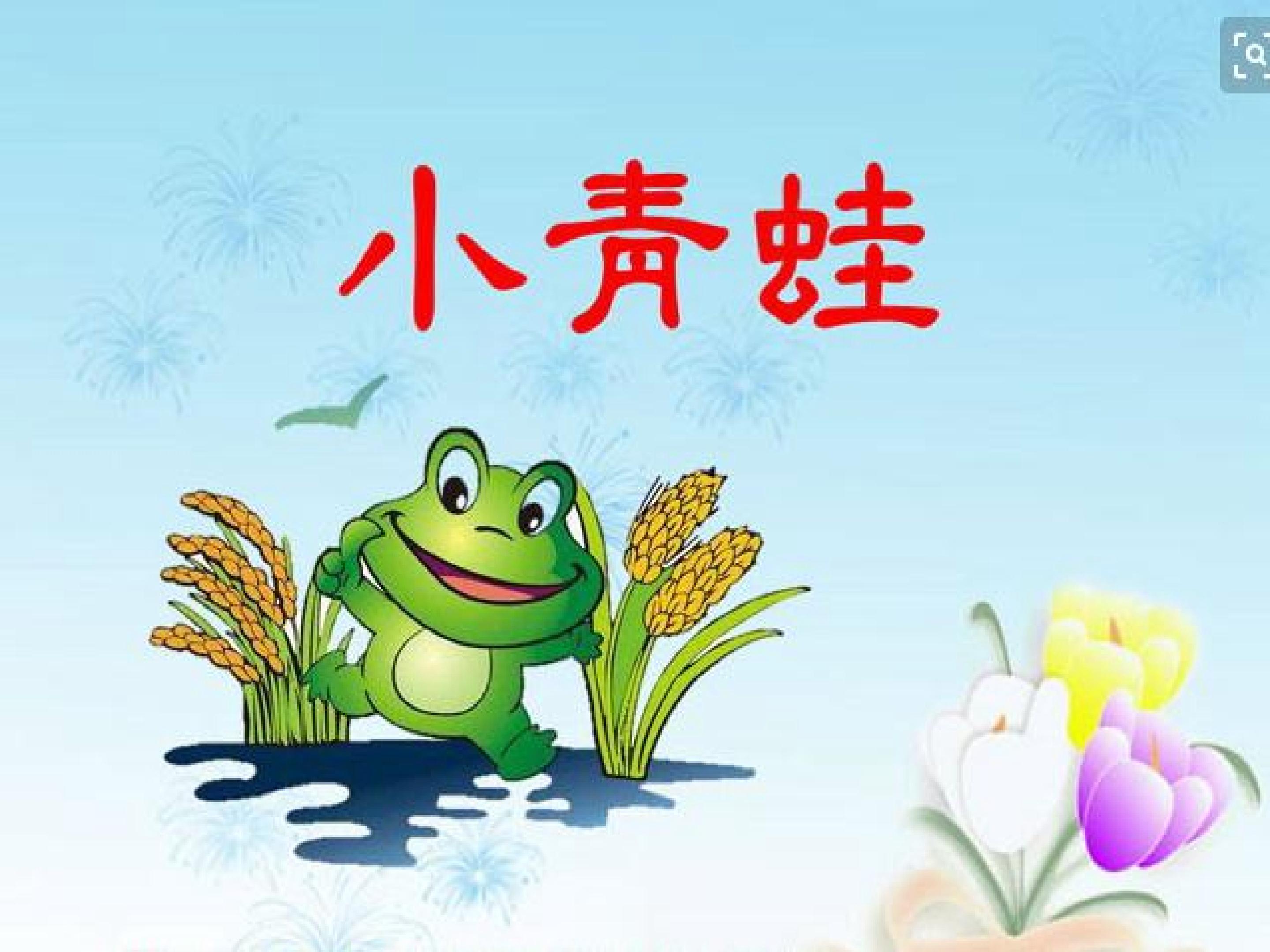 小青蛙