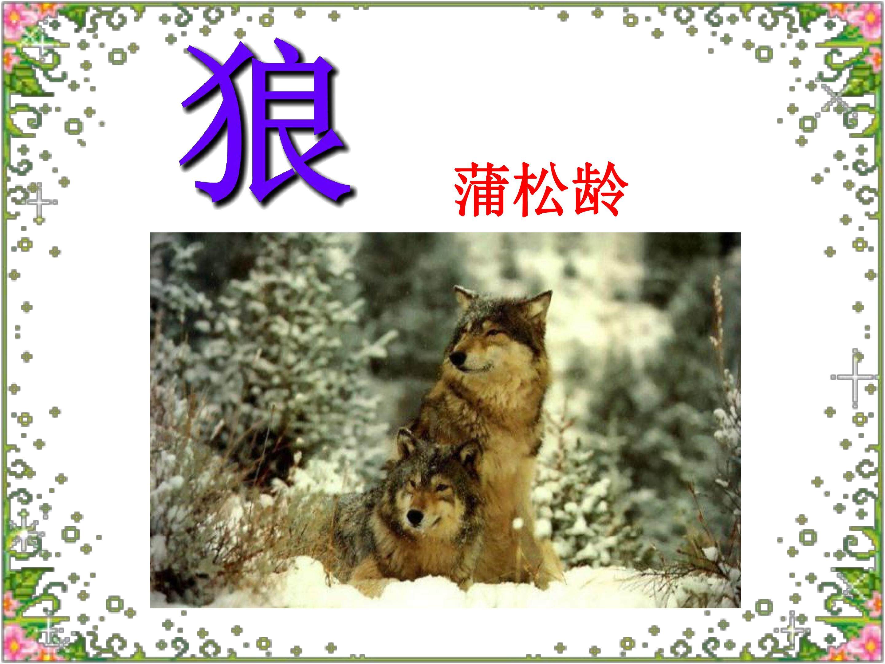 狼