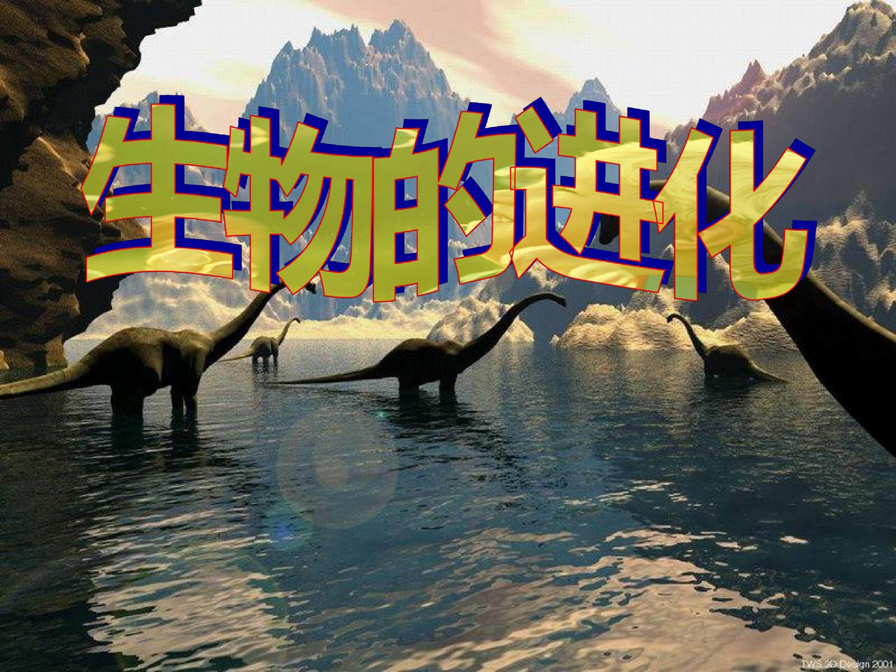生物的进化3