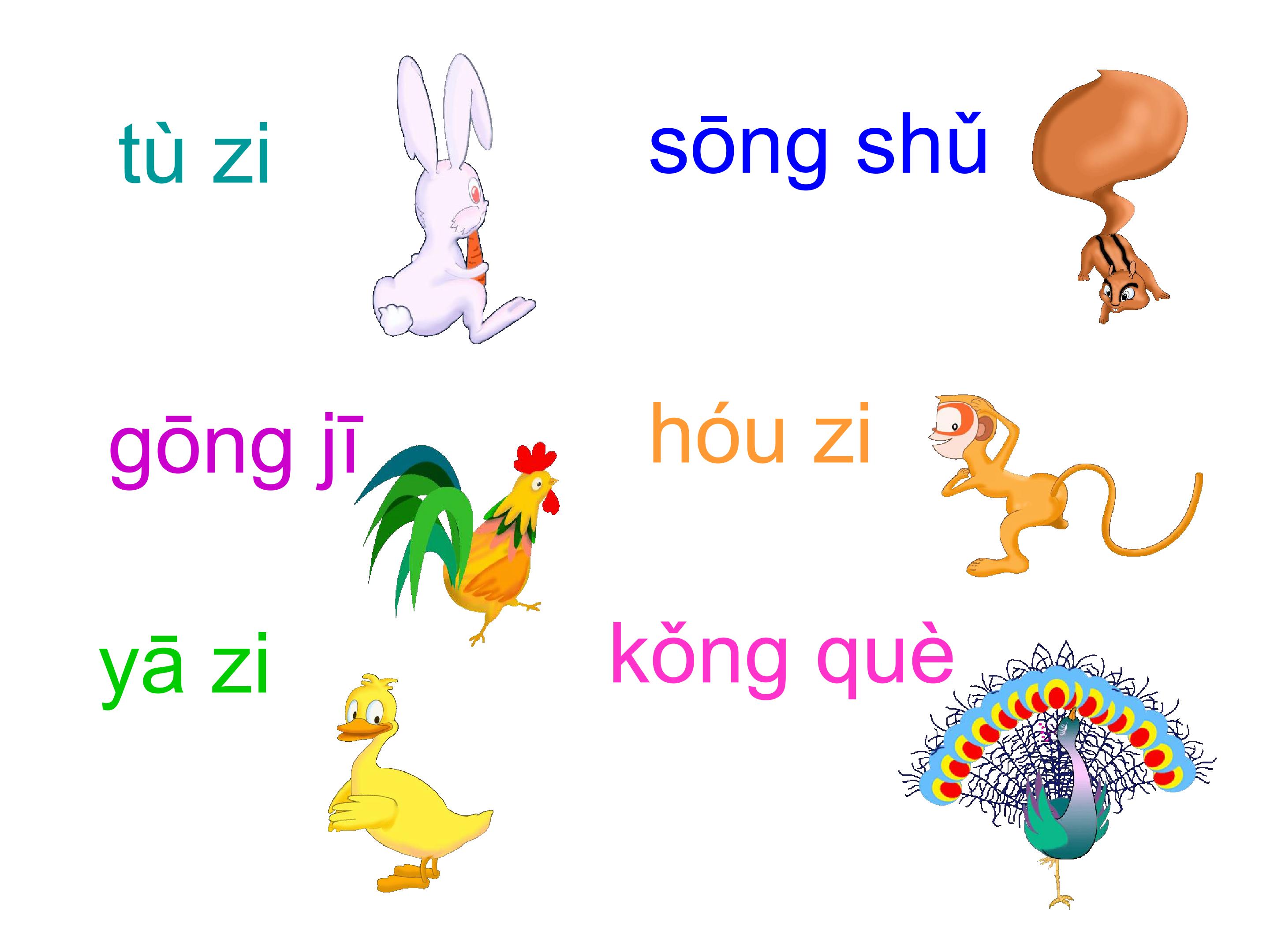 比尾巴