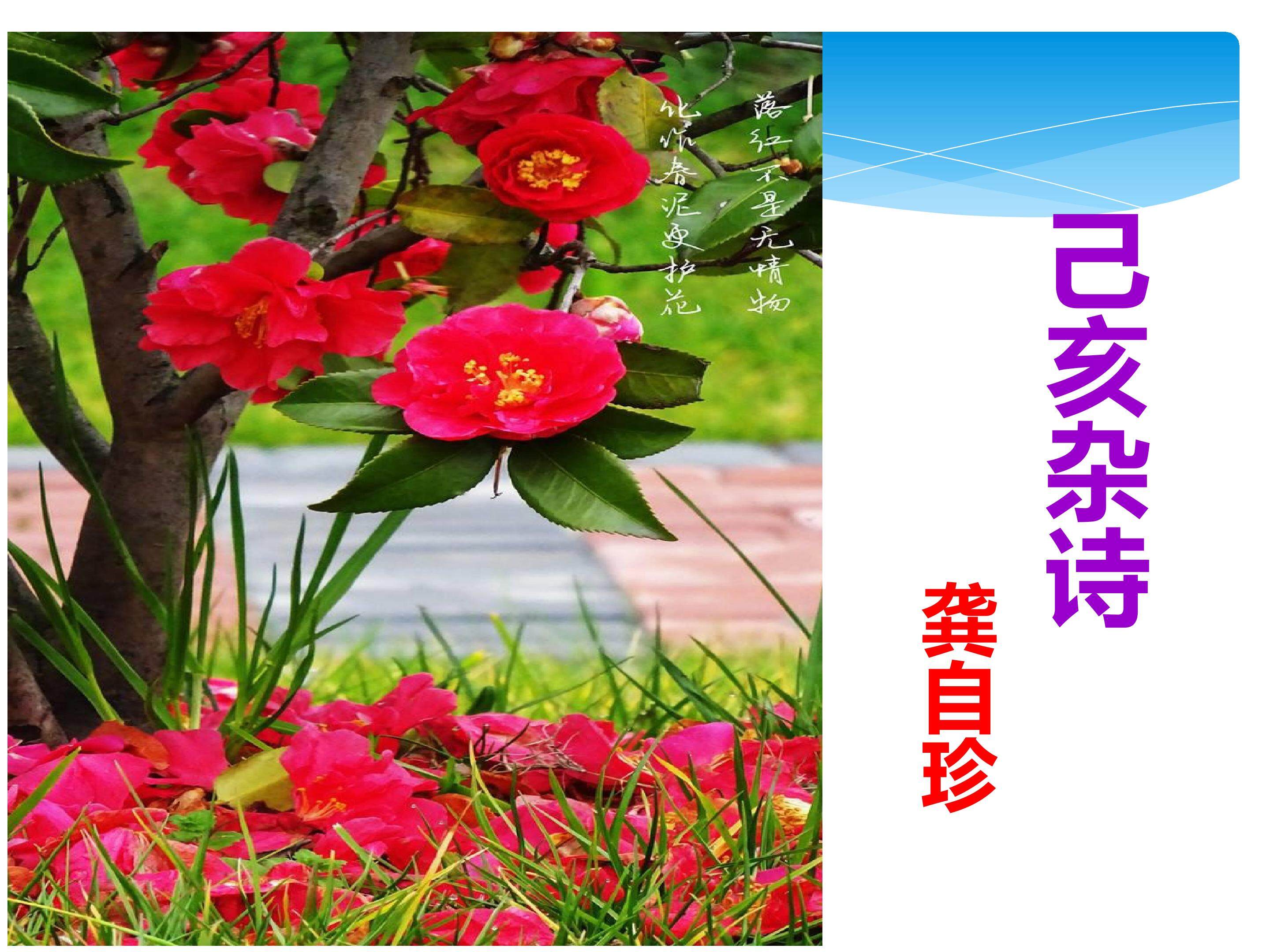 20.己亥杂诗