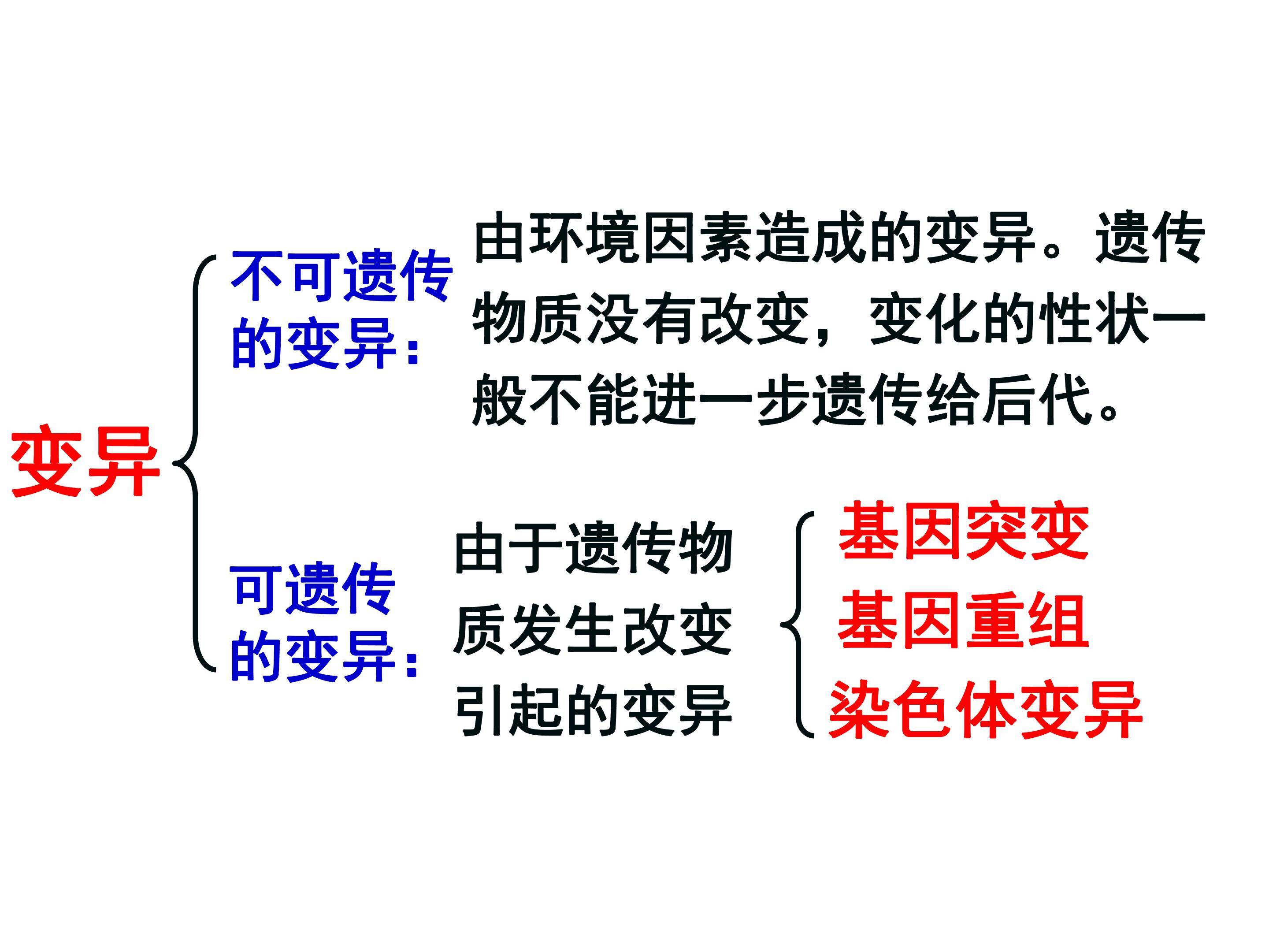 基因突变和基因重组
