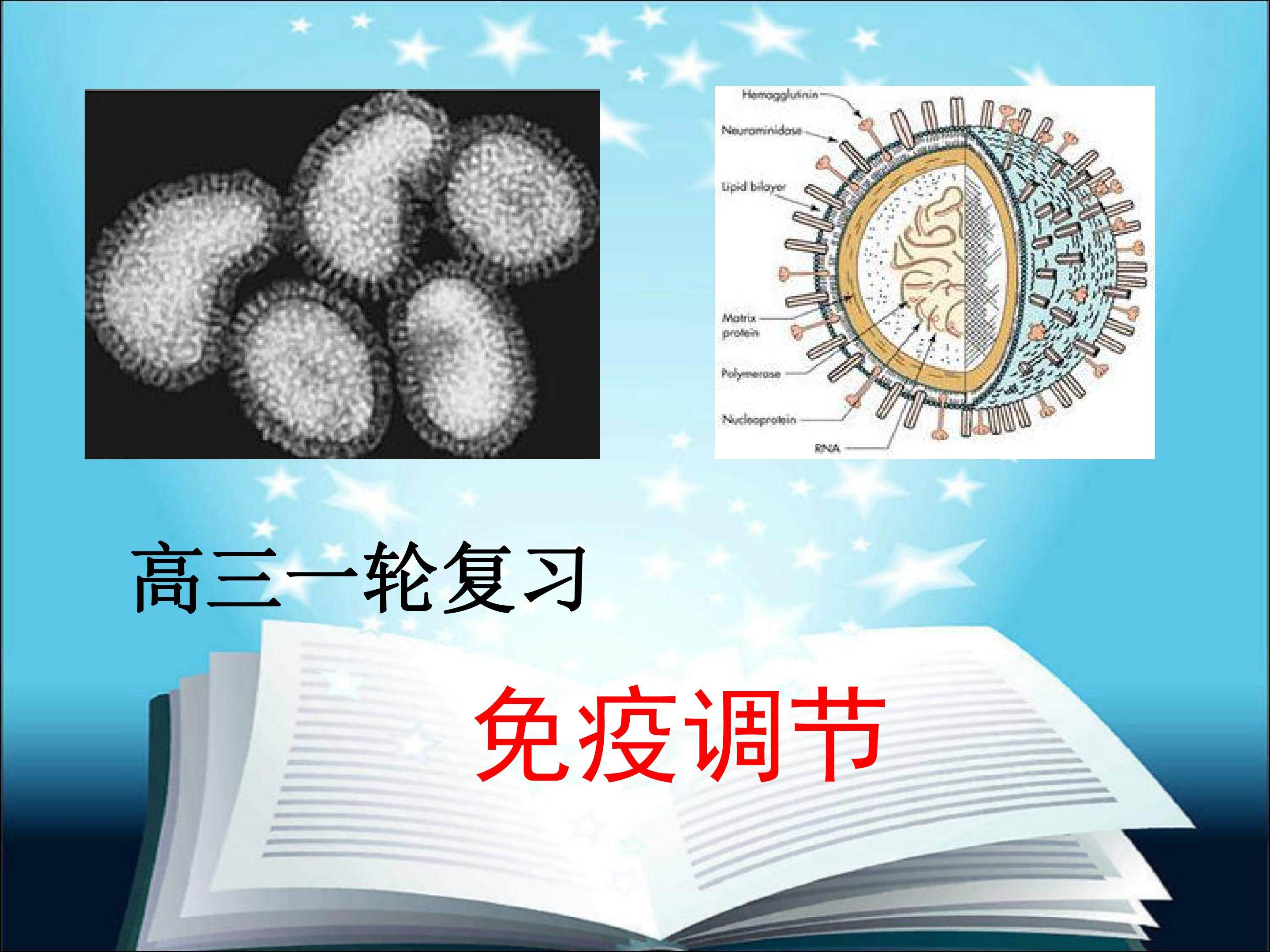 高三生物一轮复习——免疫调节