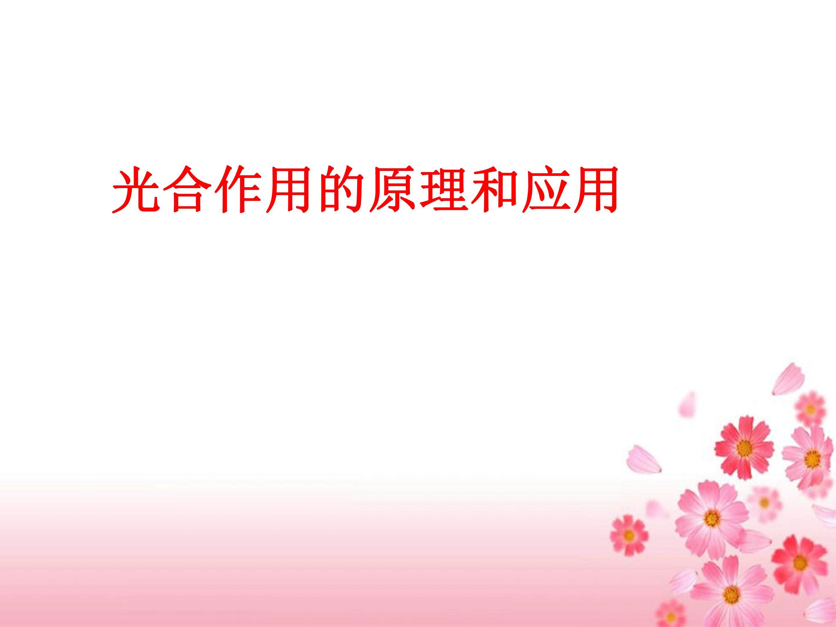 光合作用的原理和应用