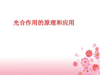光合作用的原理和应用