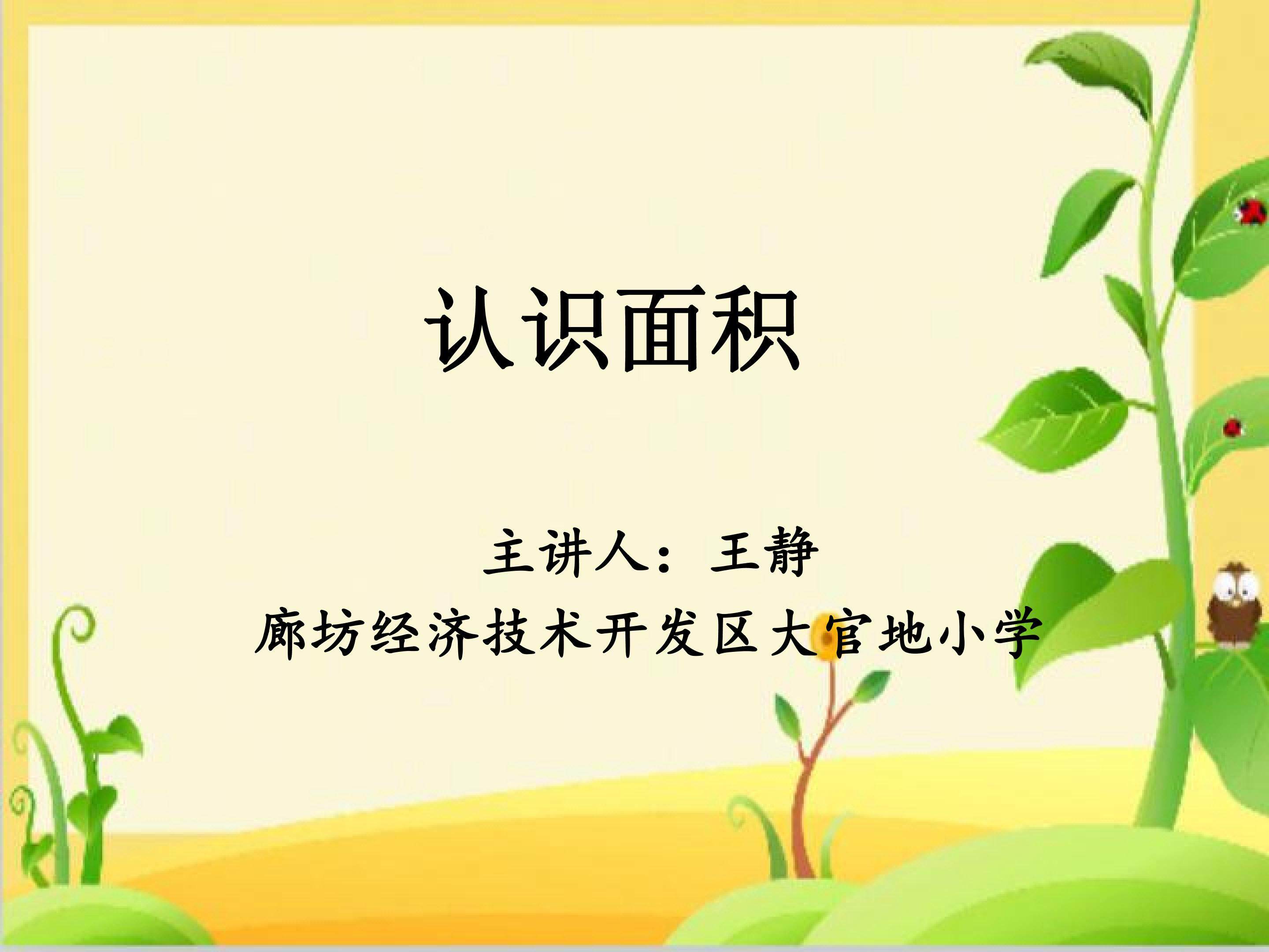 认识面积