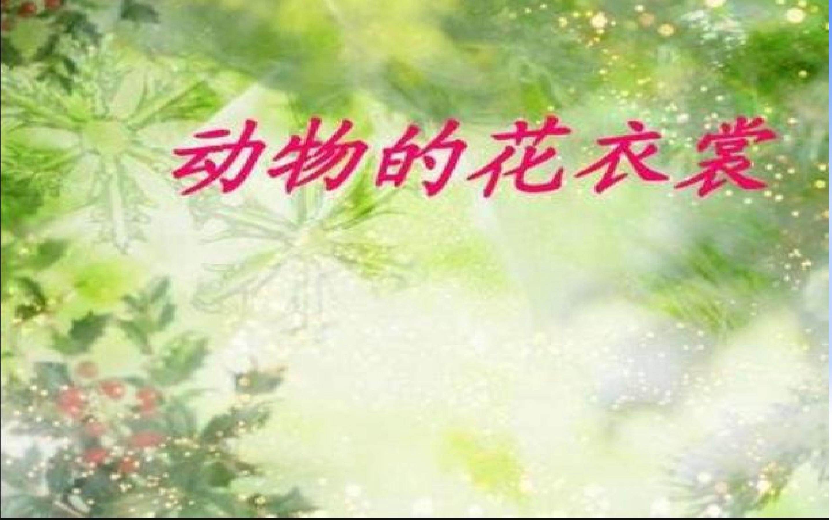 动物的花衣裳