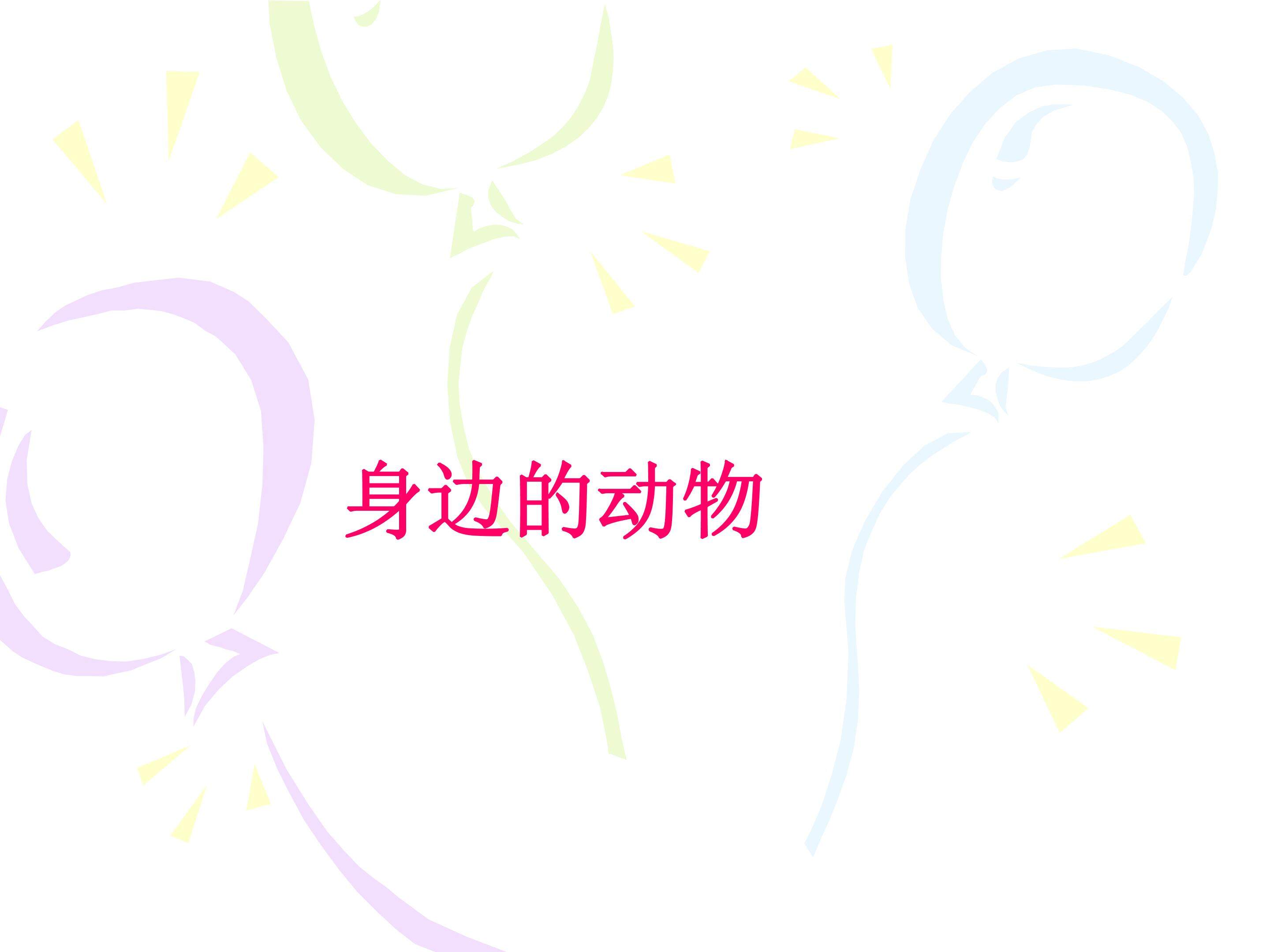 身边的动物