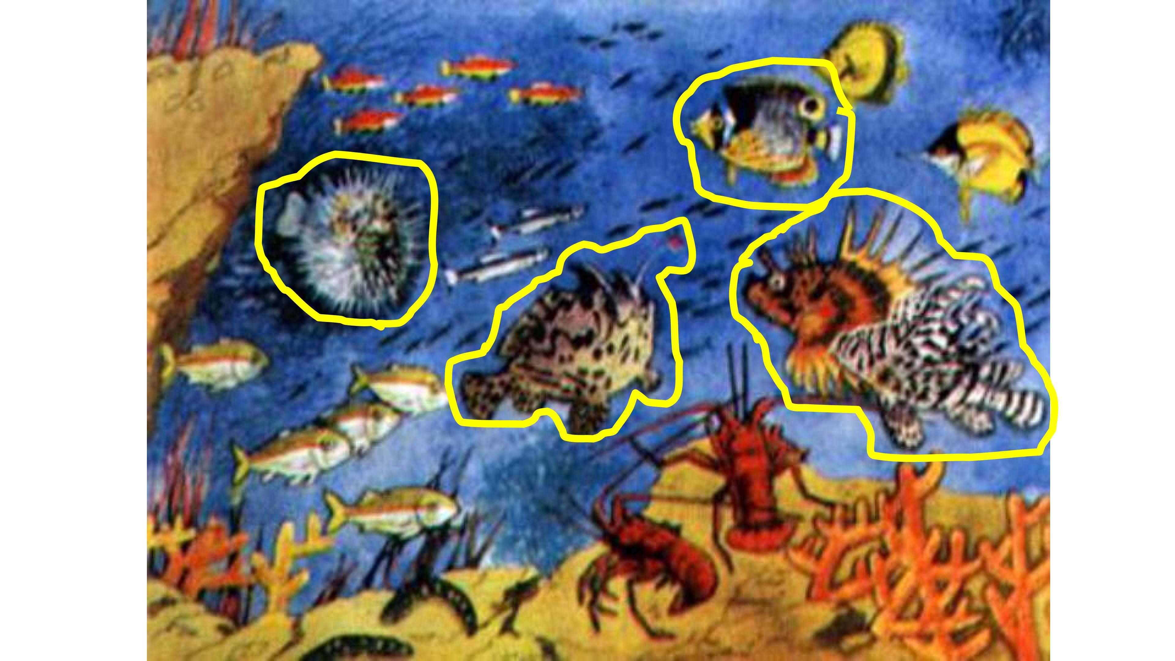 18.jpg