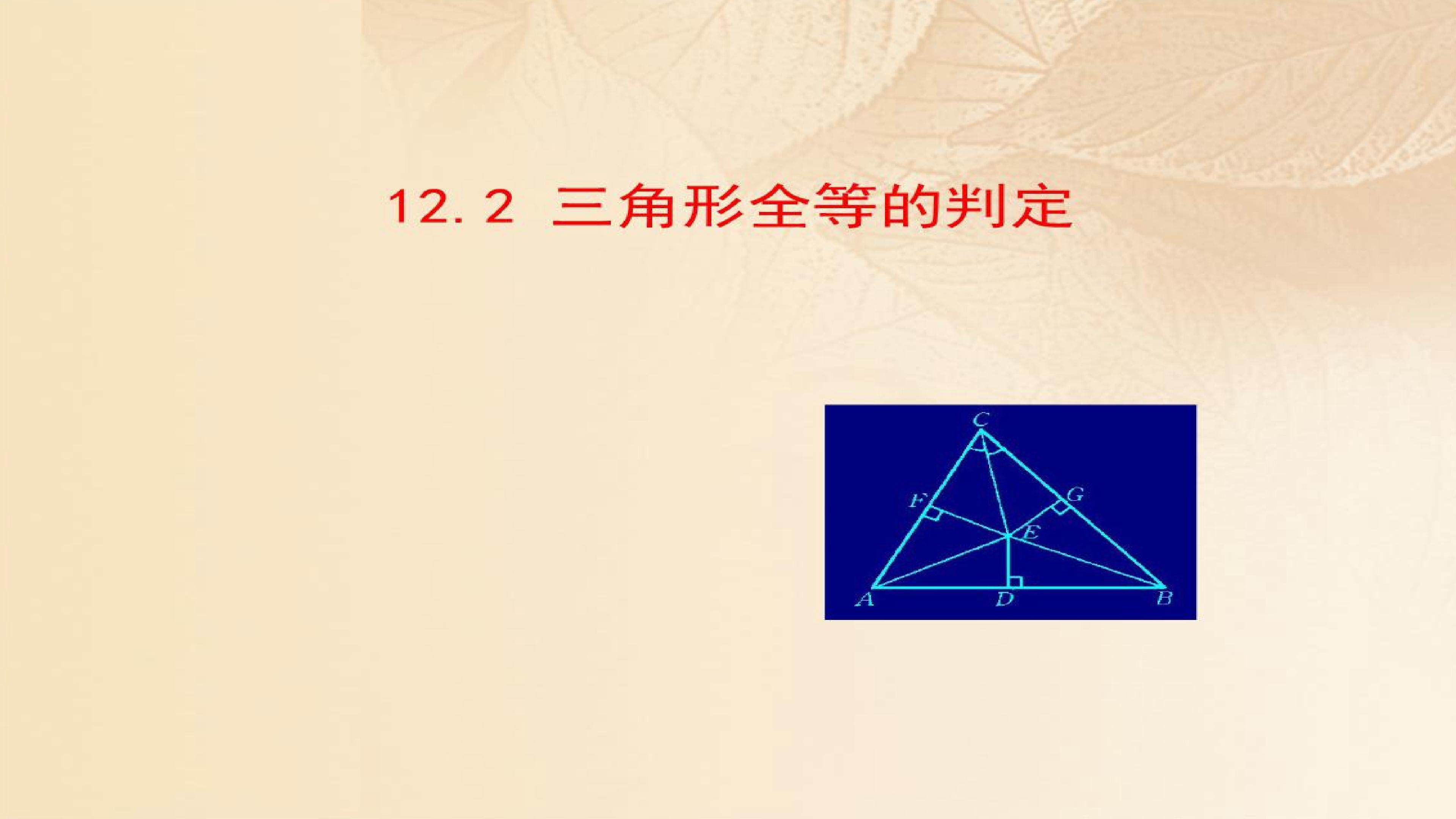 12.2全等三角形的判定