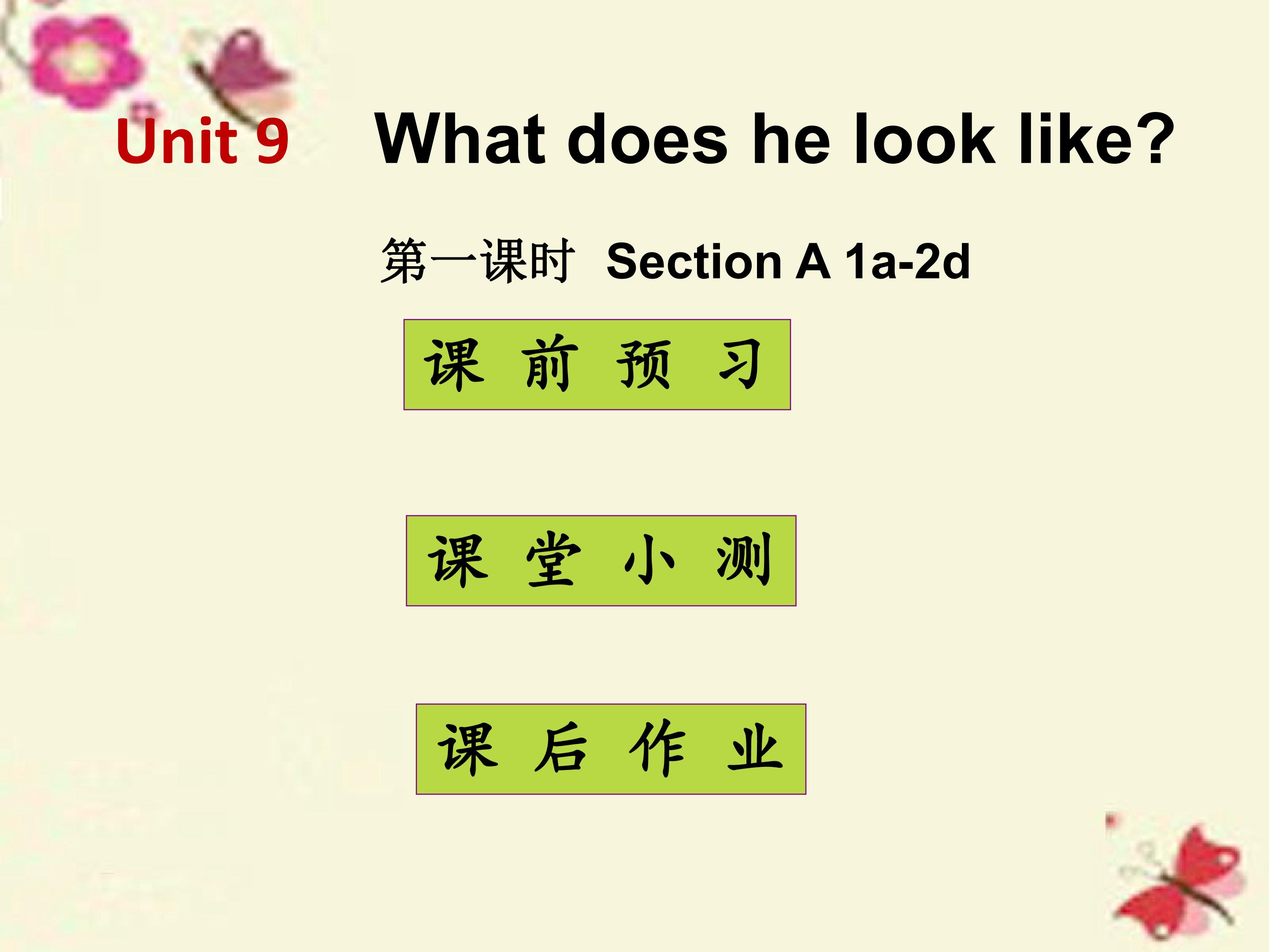What does he look like Section A