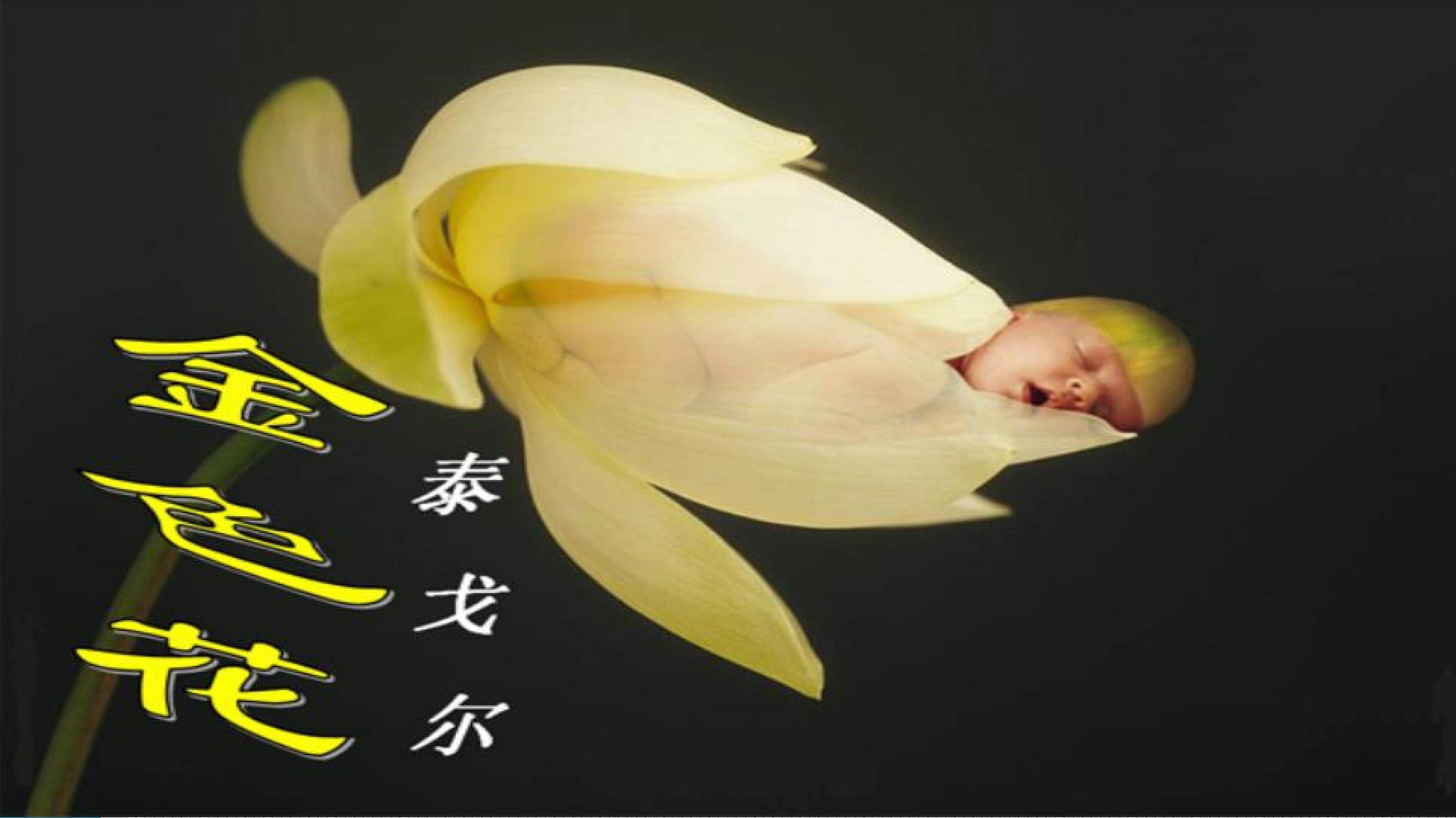 金色花