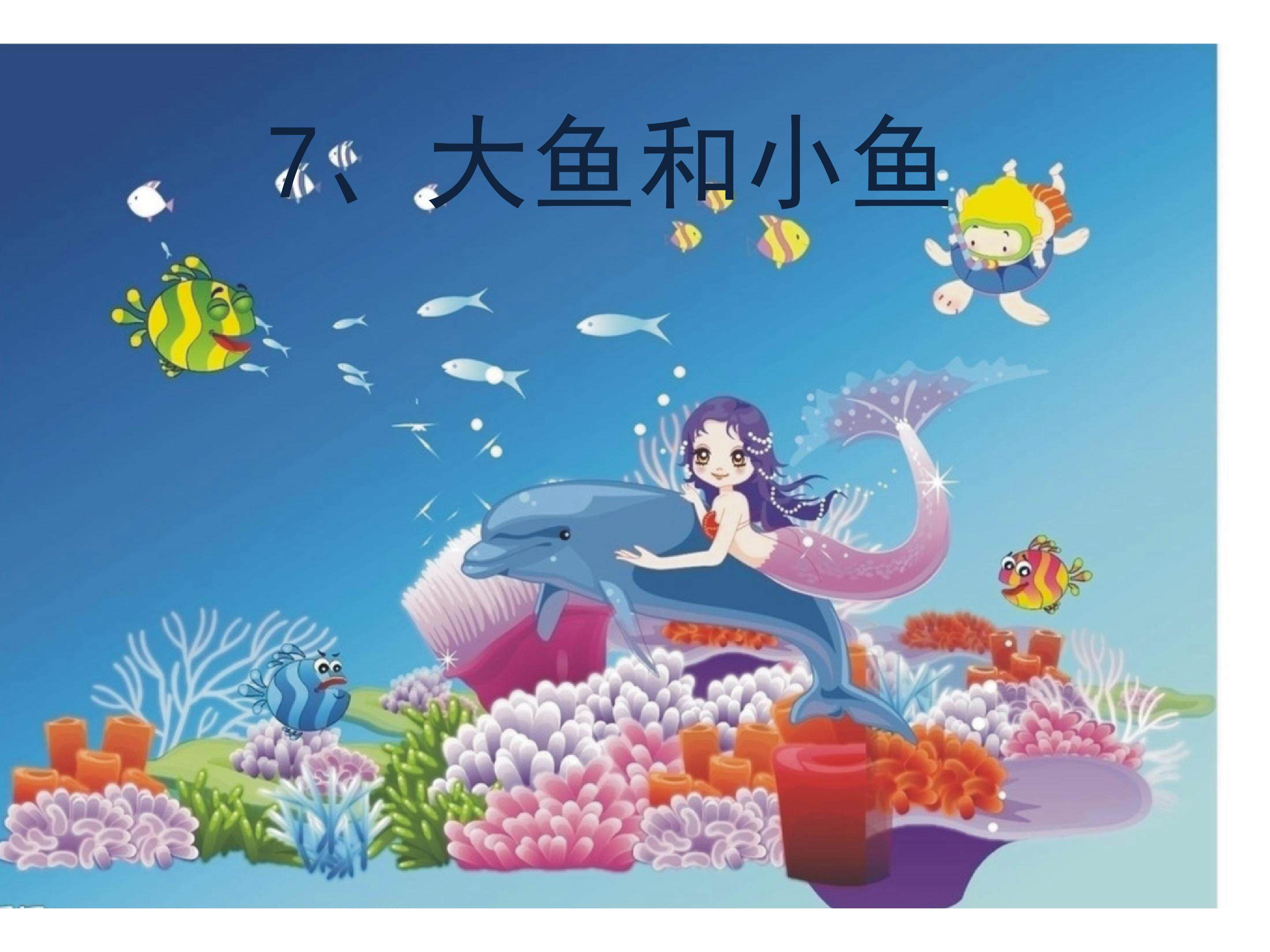 鱼儿游游
