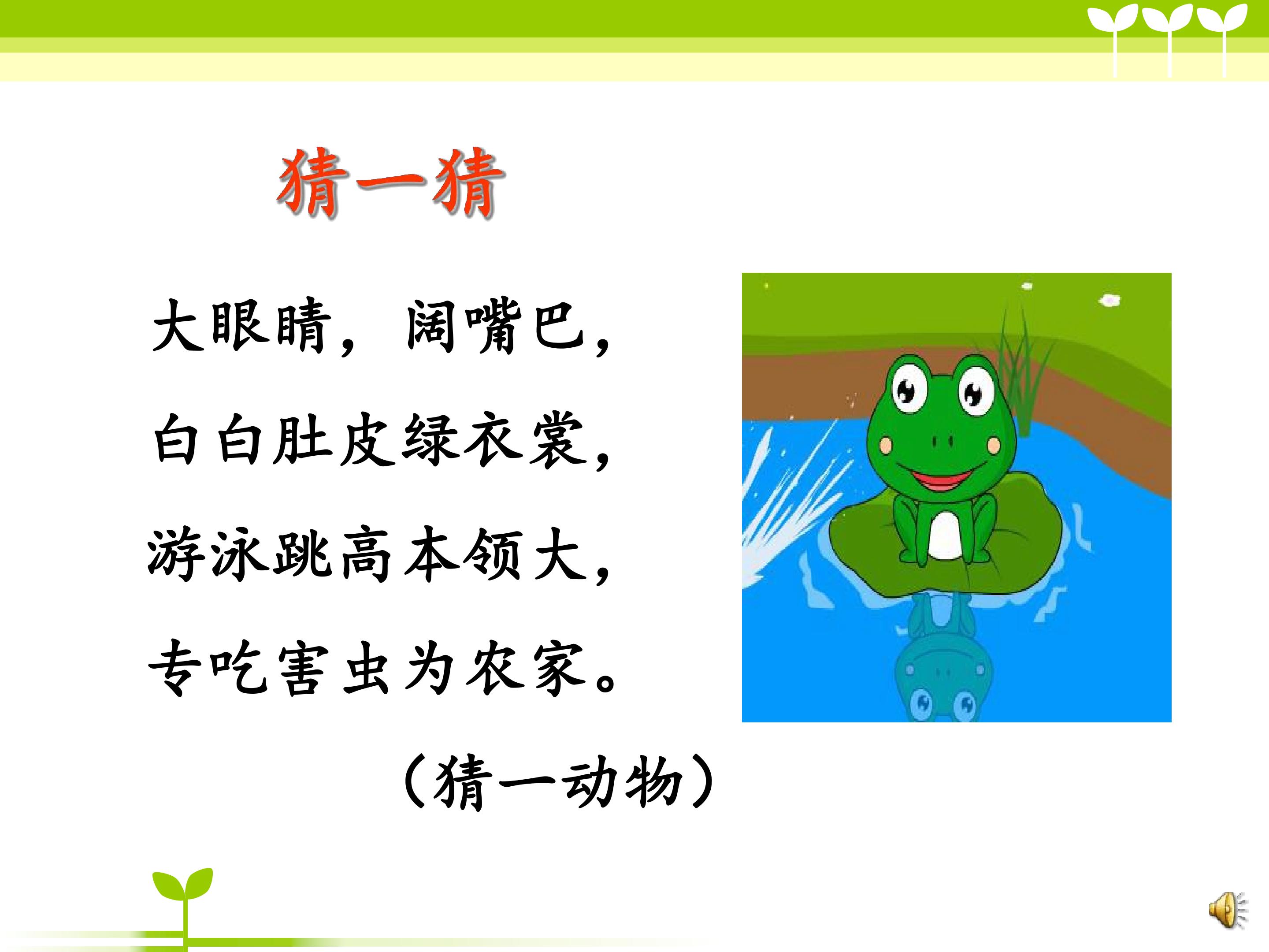 小青蛙第一课时