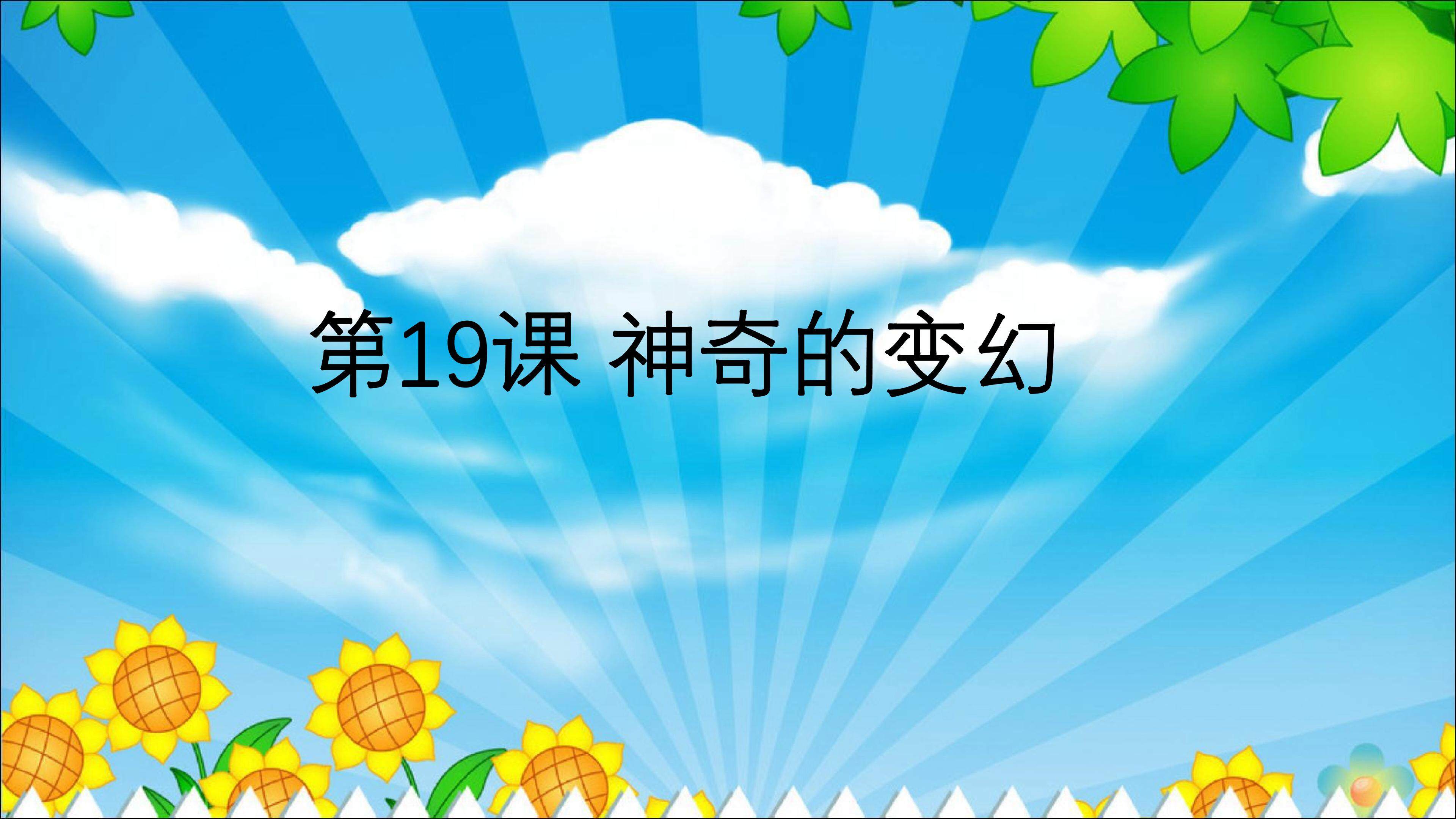 神奇的变幻