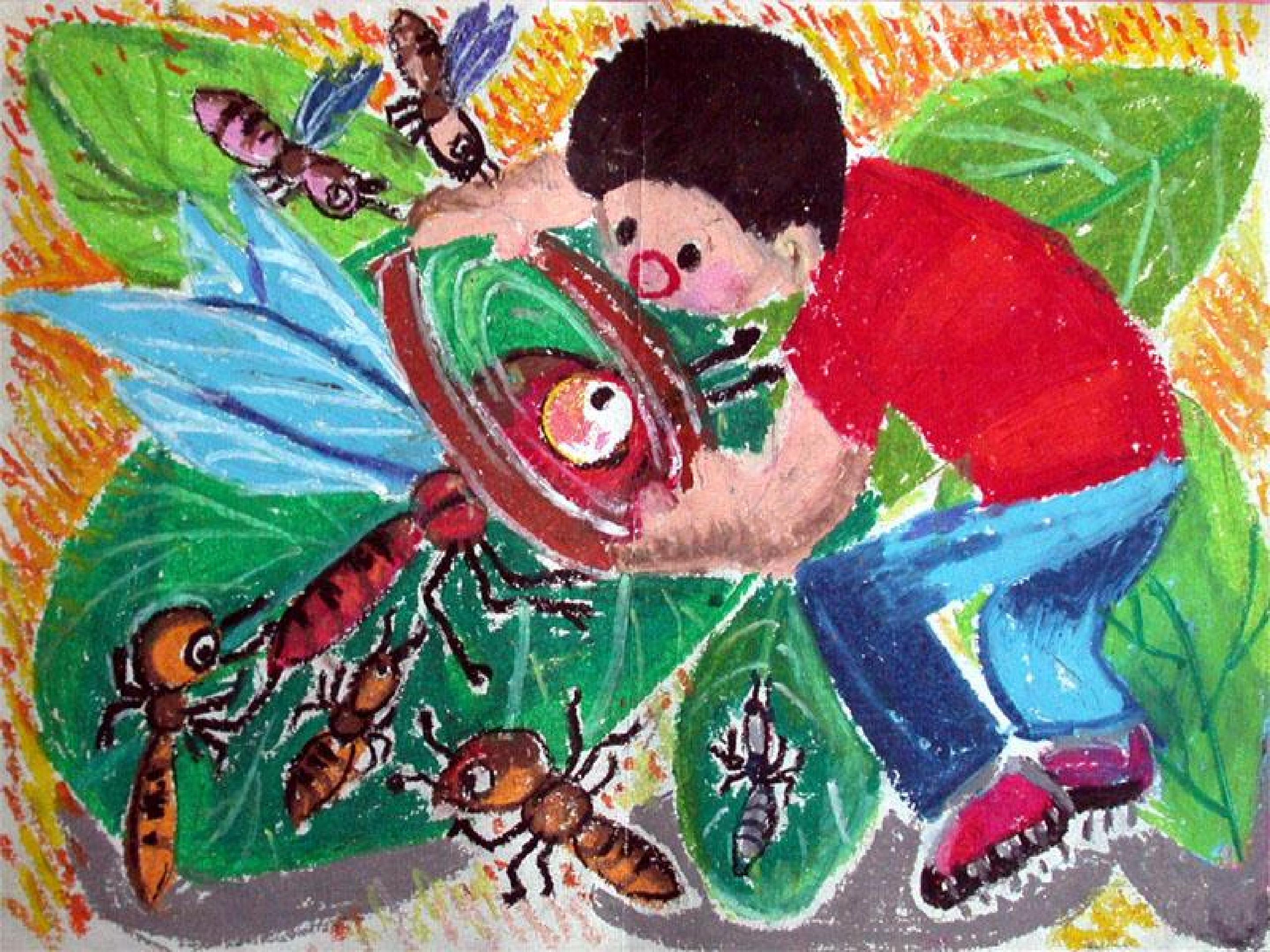 13.jpg
