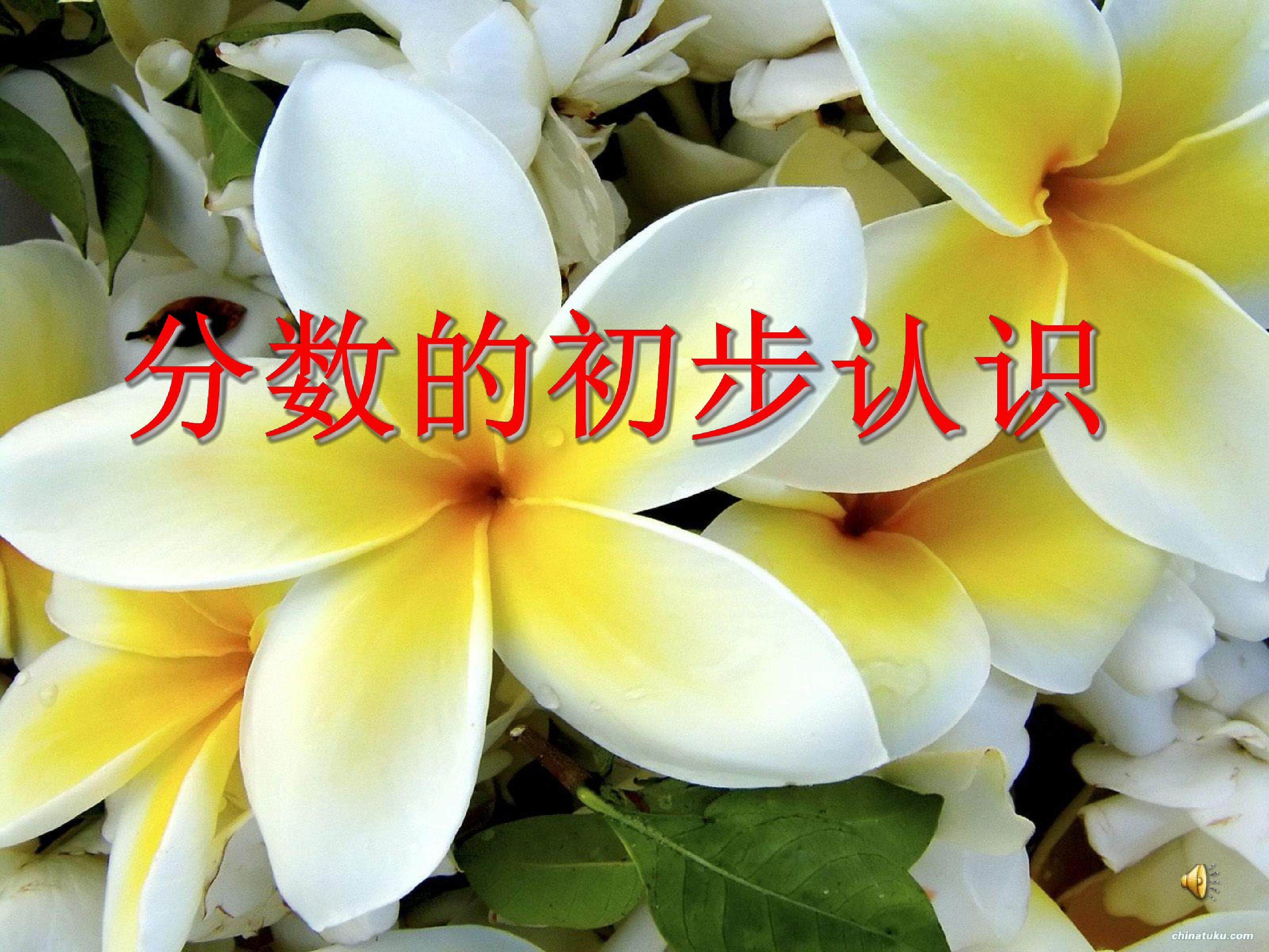 分数的初步认识