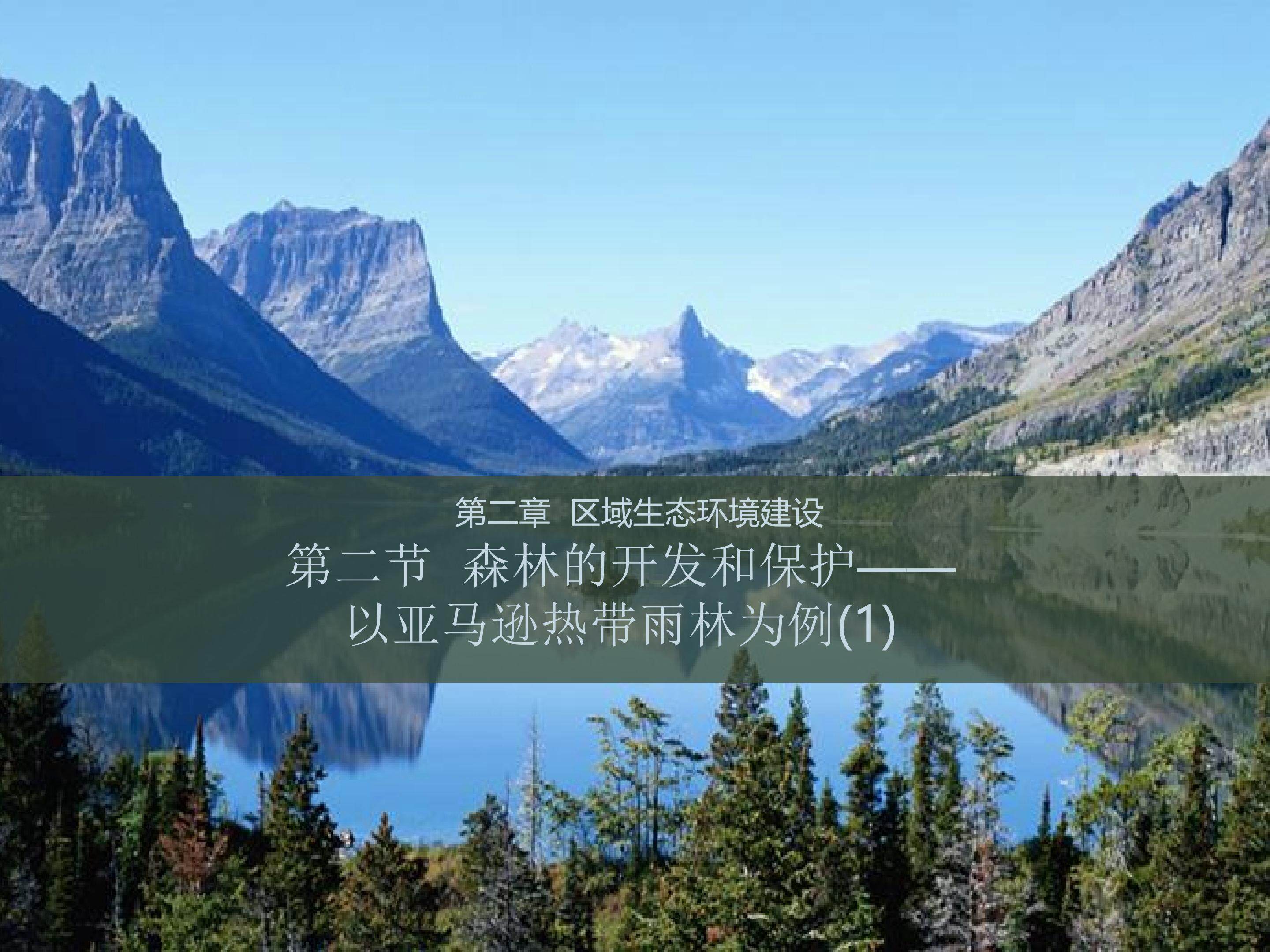 森林的开发和保护