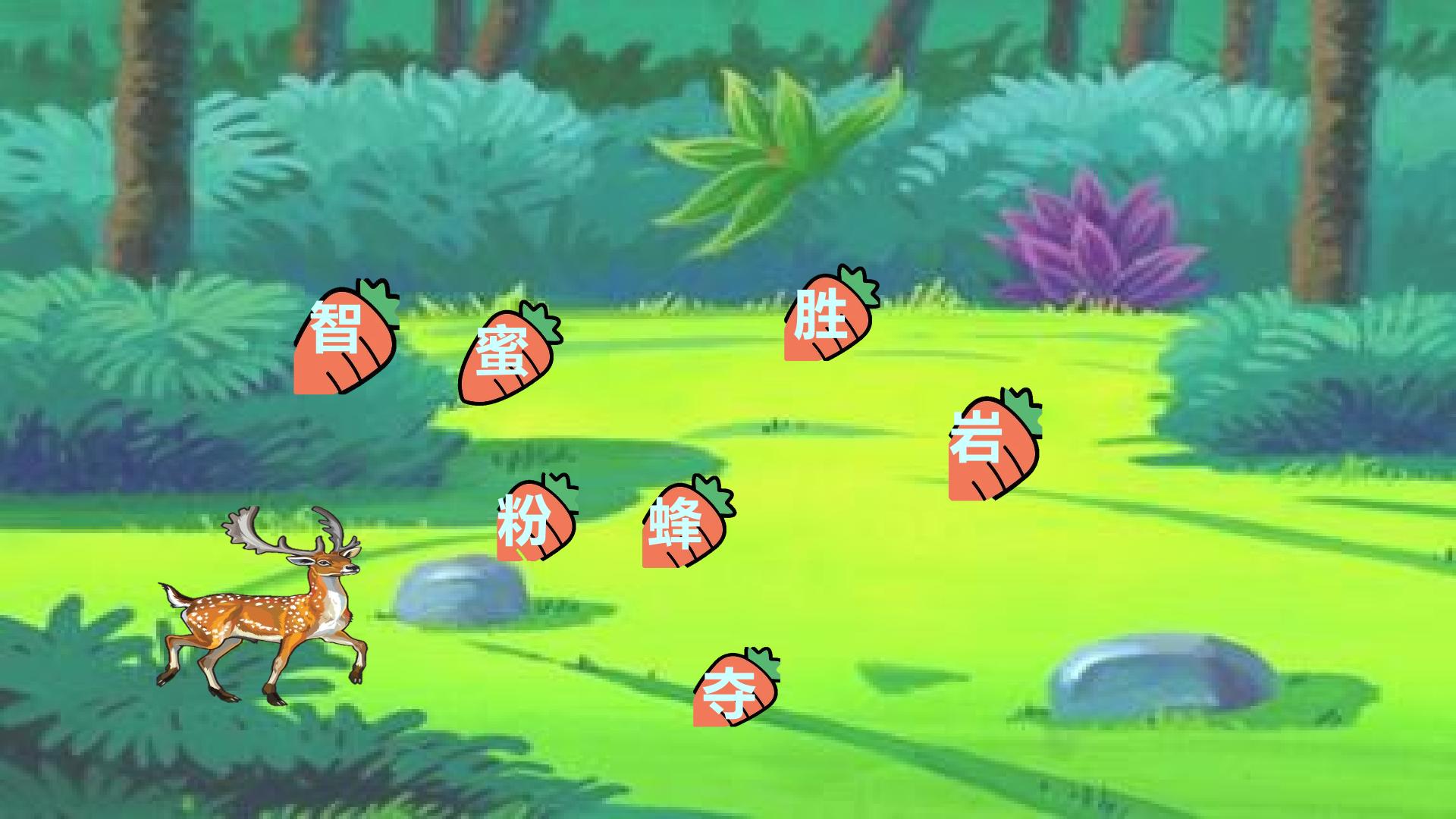 13.jpg