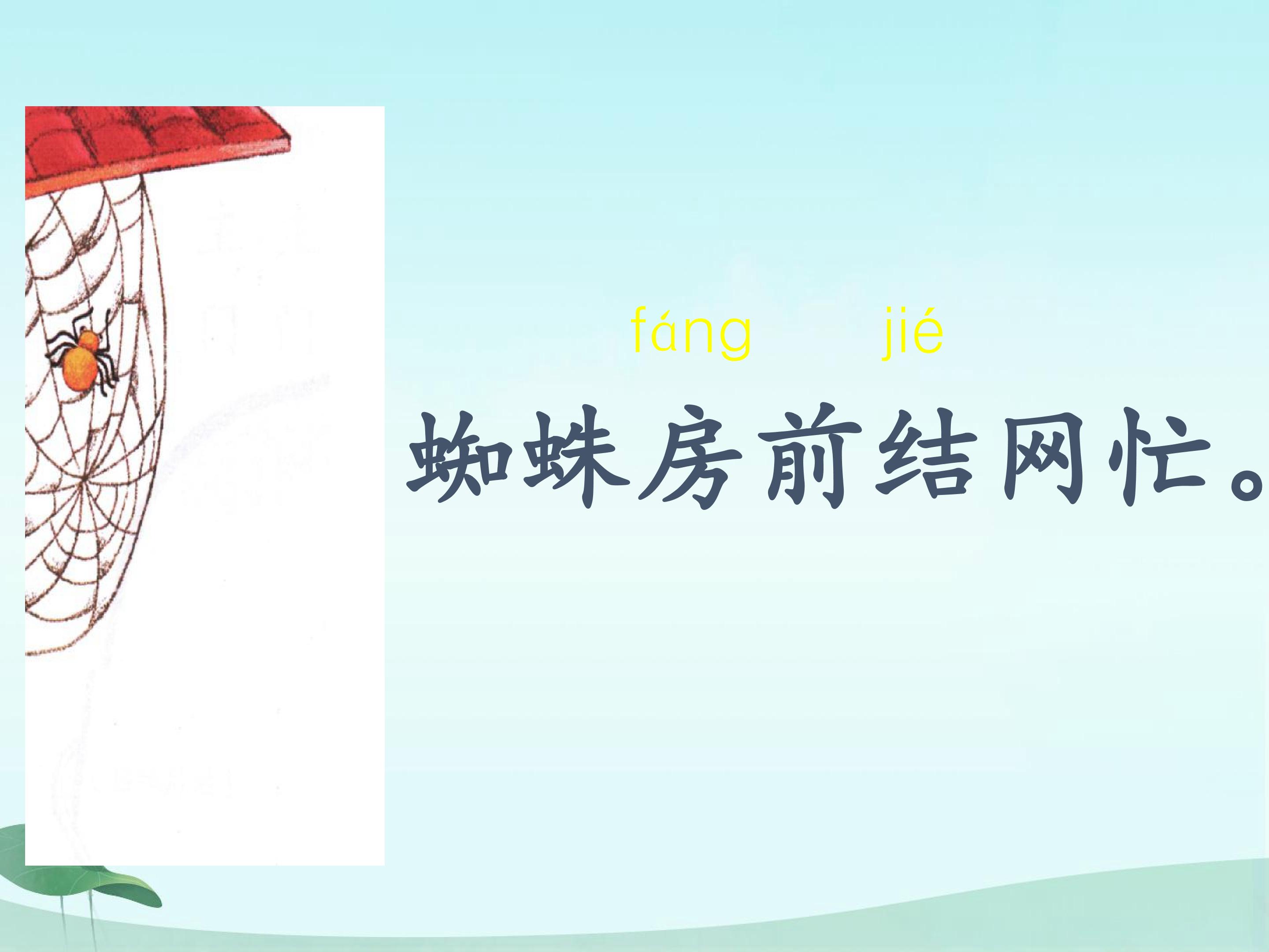 15.jpg
