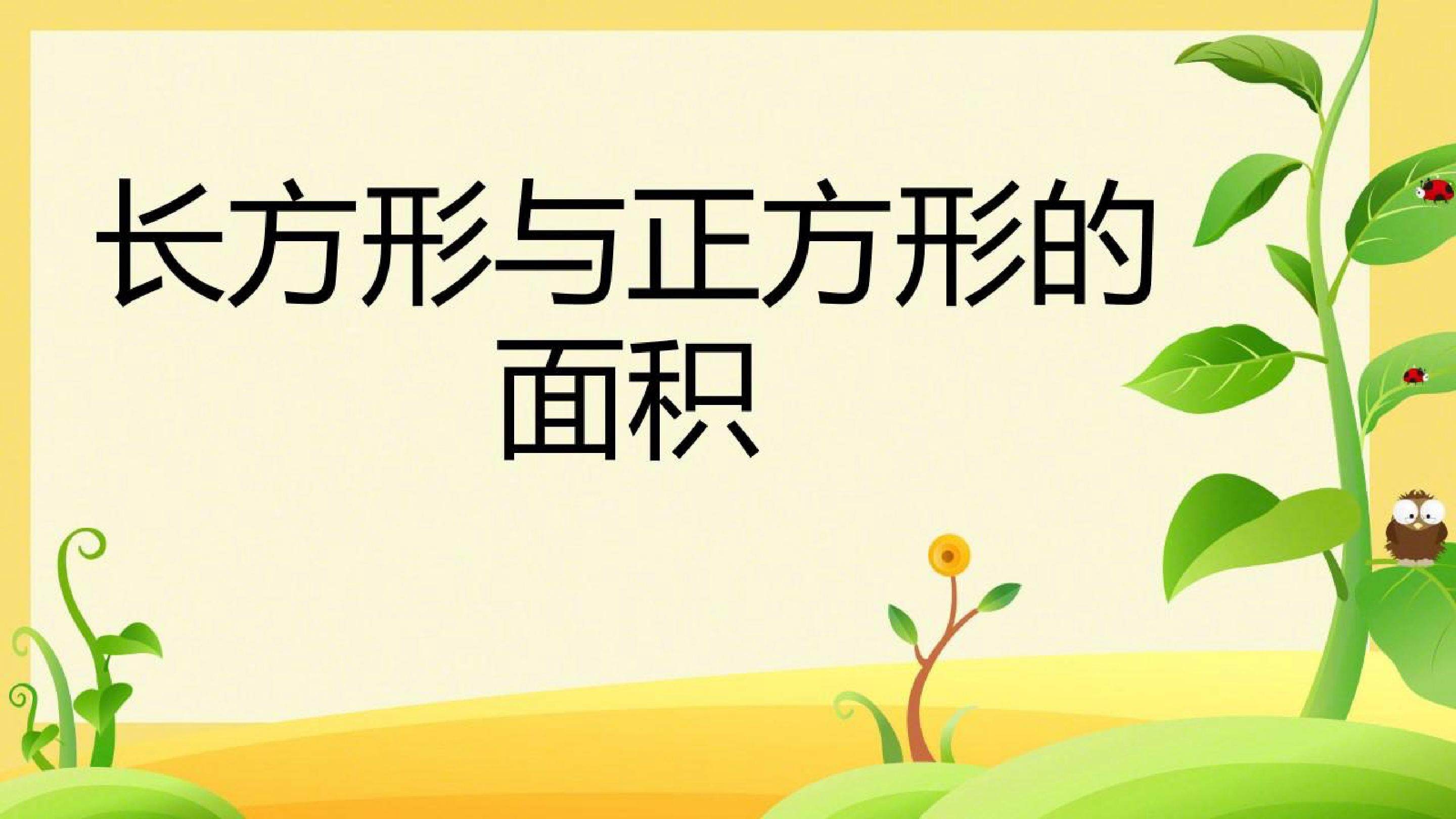 面积