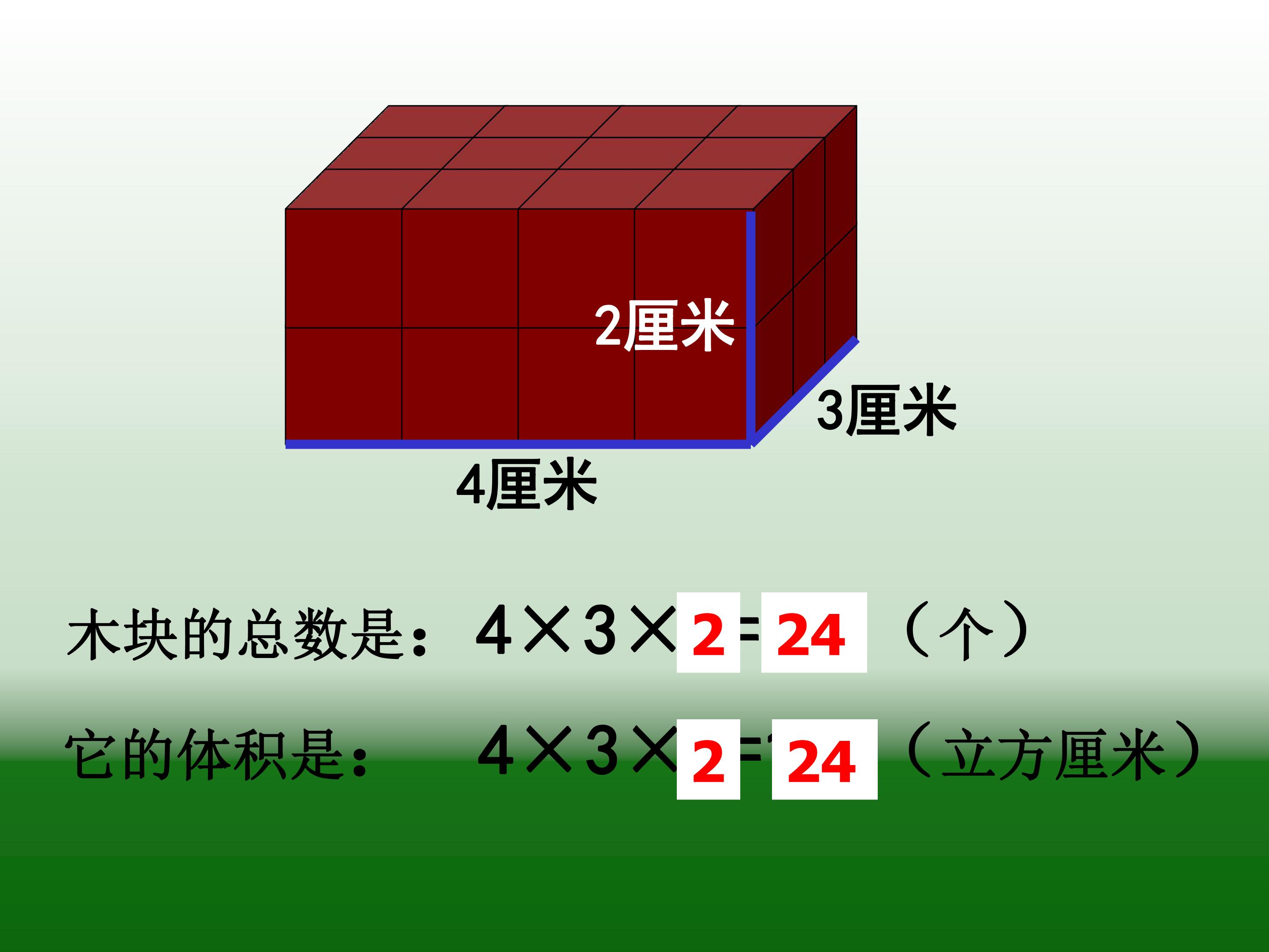 47.jpg