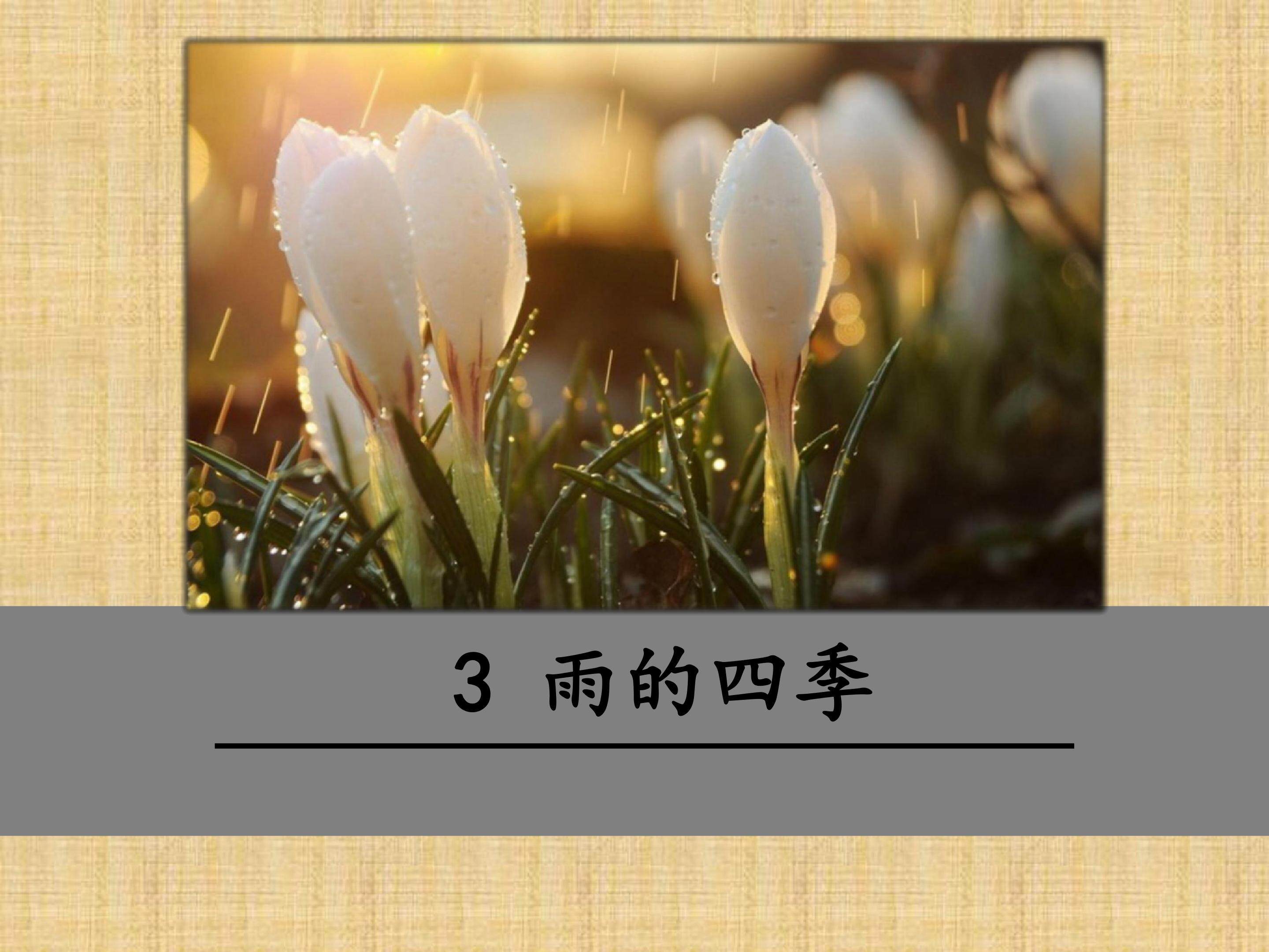 雨的四季