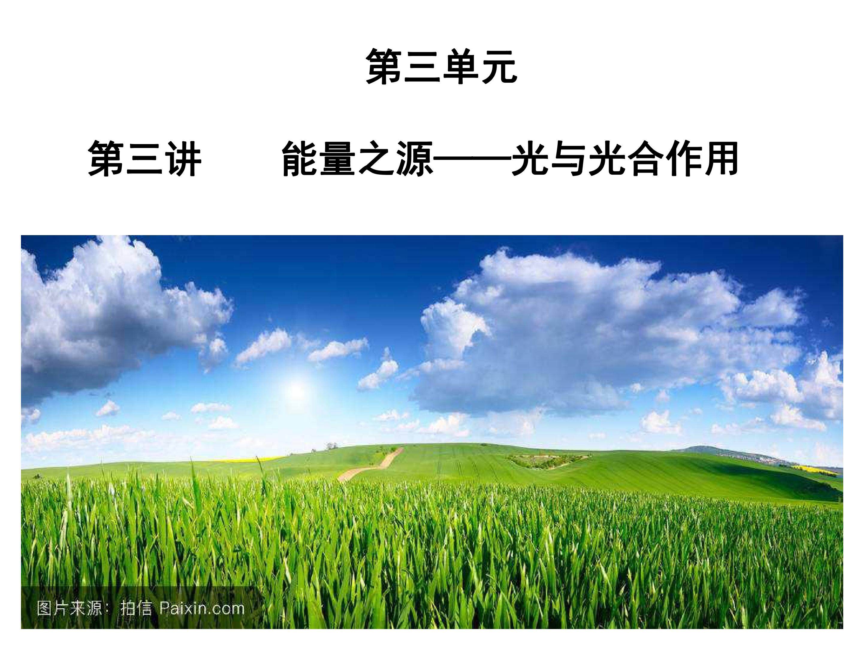 光合作用