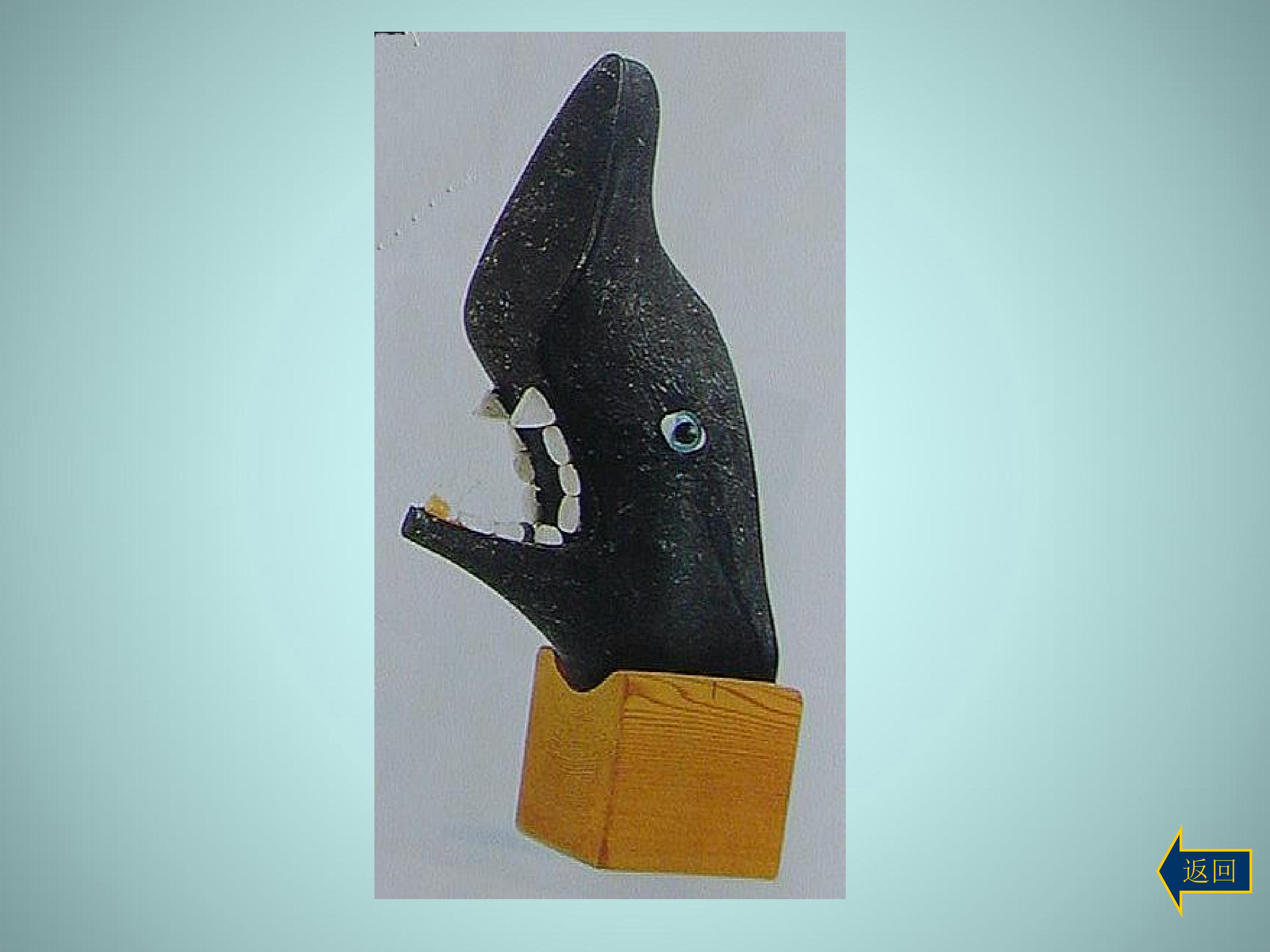 165.jpg