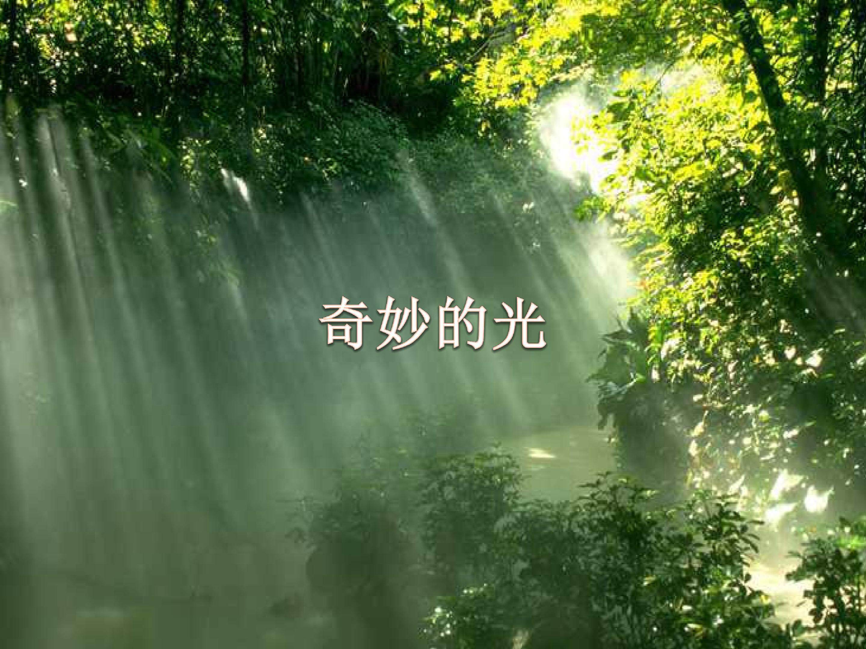 光的来源和传播 2