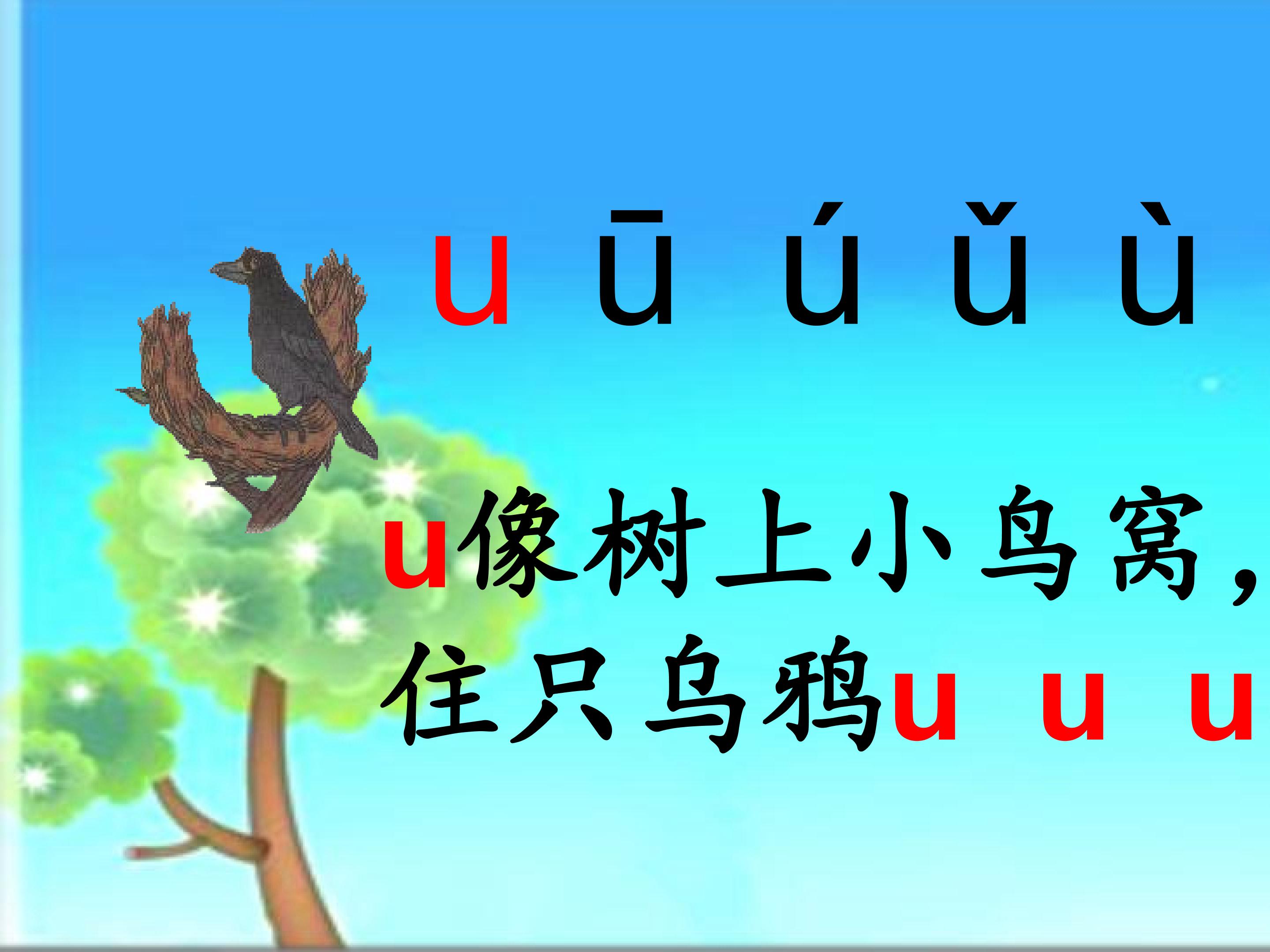 16.jpg