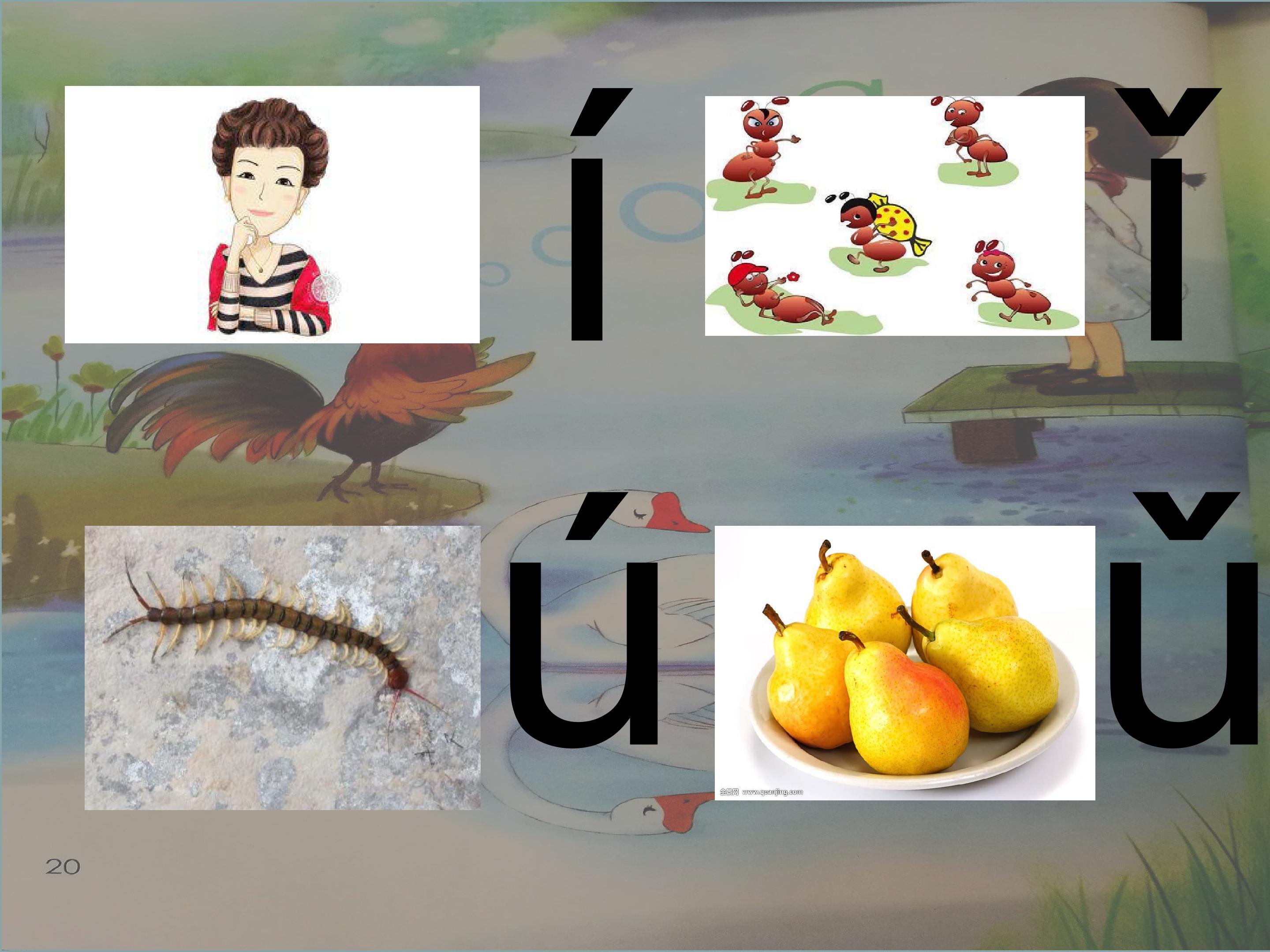 18.jpg