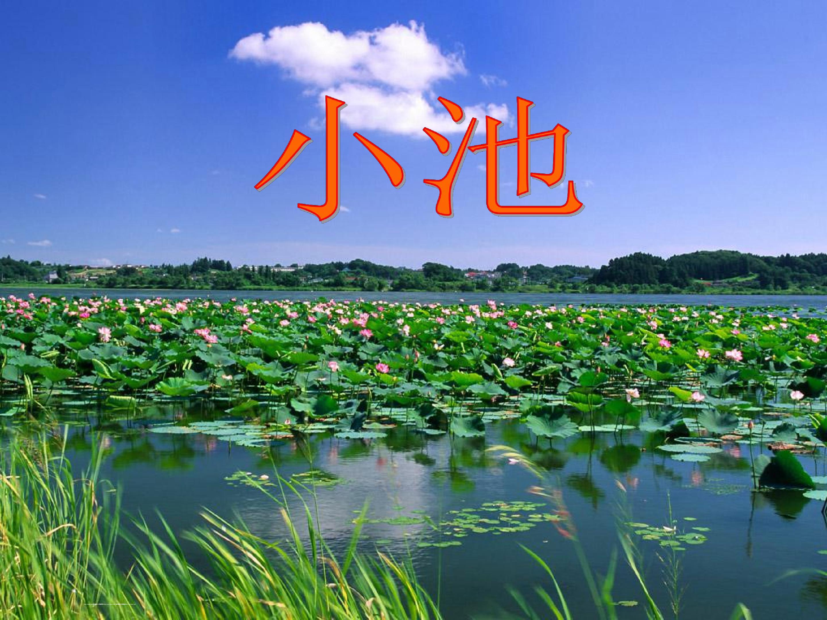 古诗两首 小池