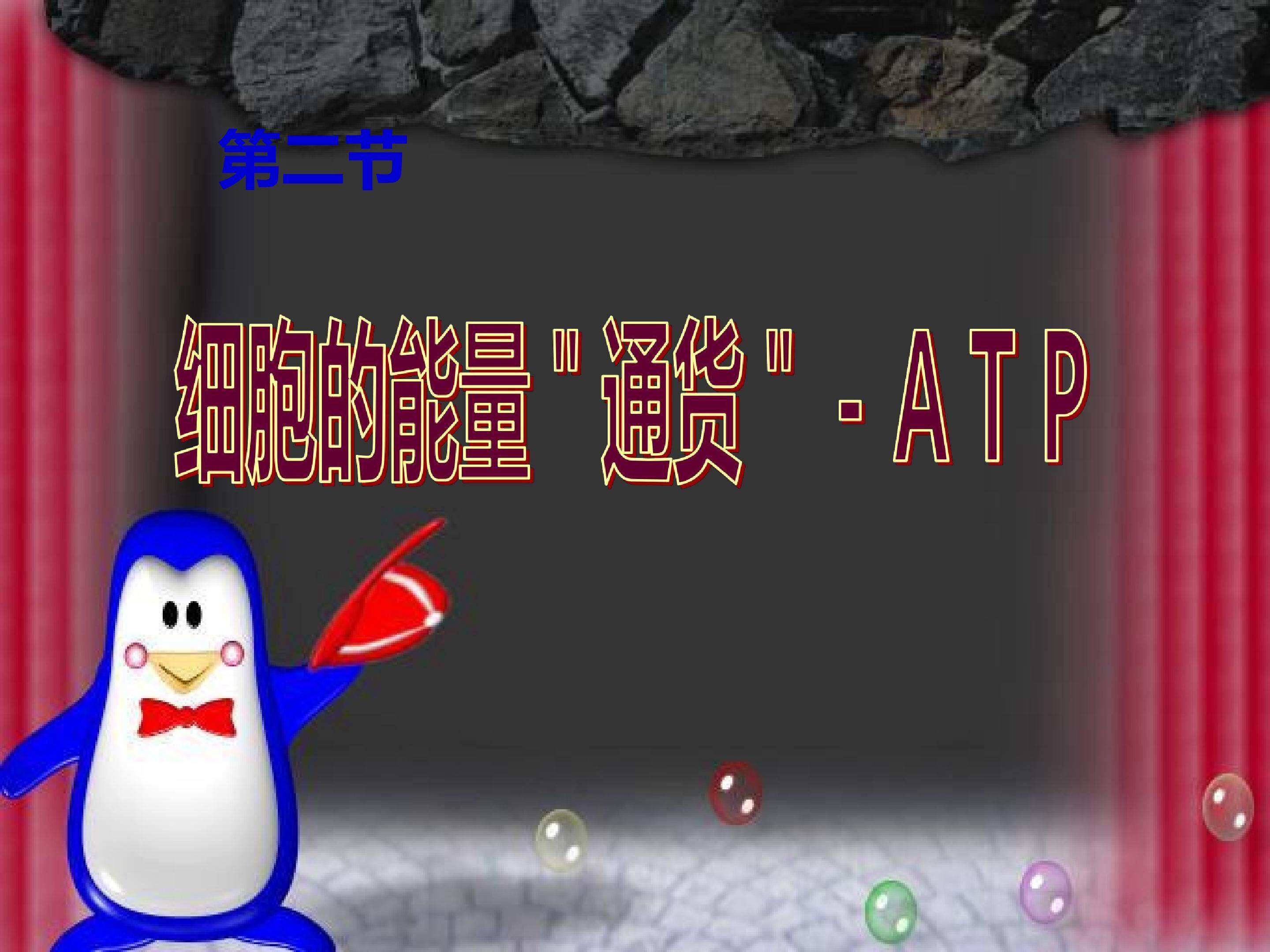 细胞的能量“通货”ATP
