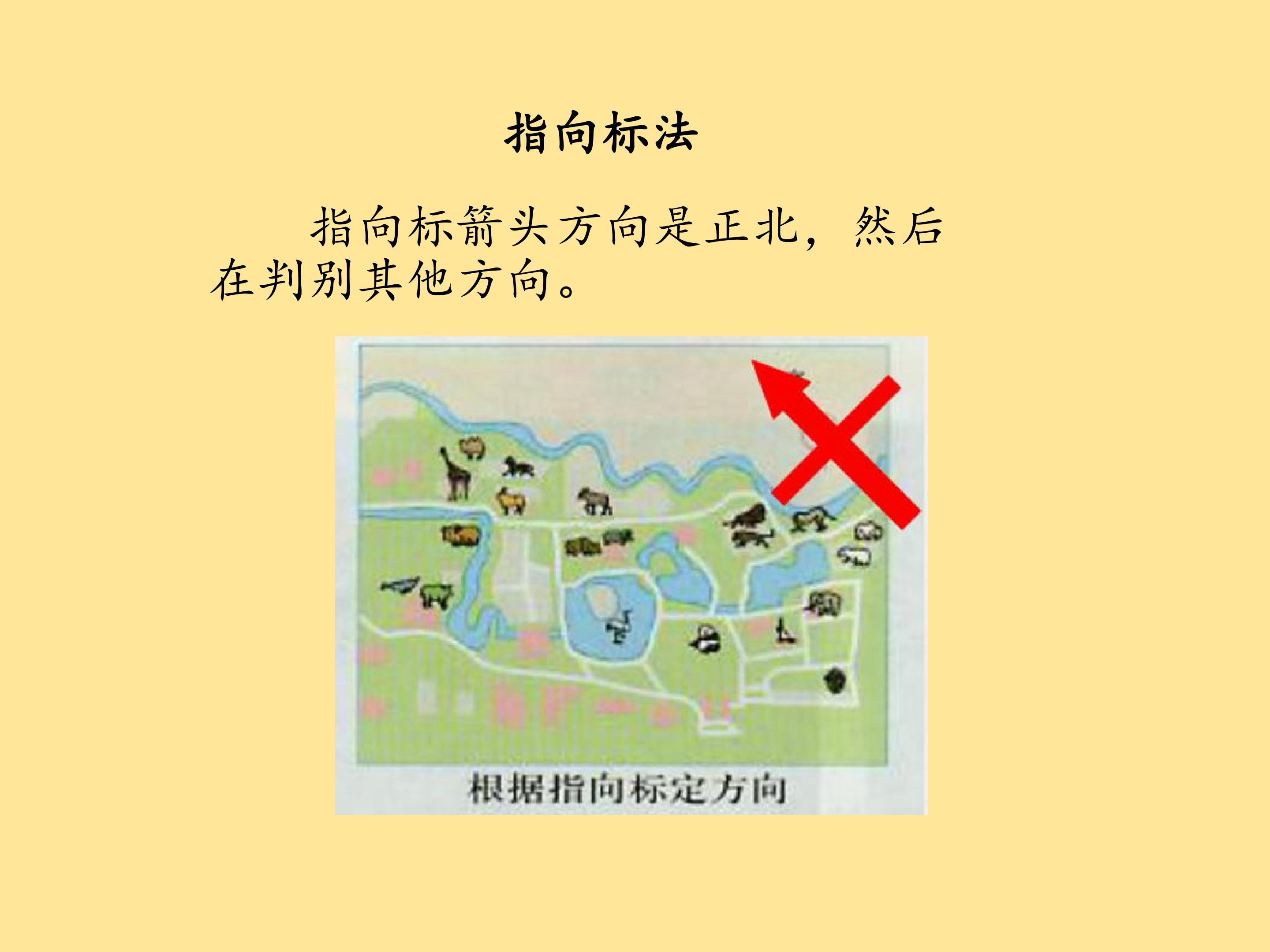 53.jpg