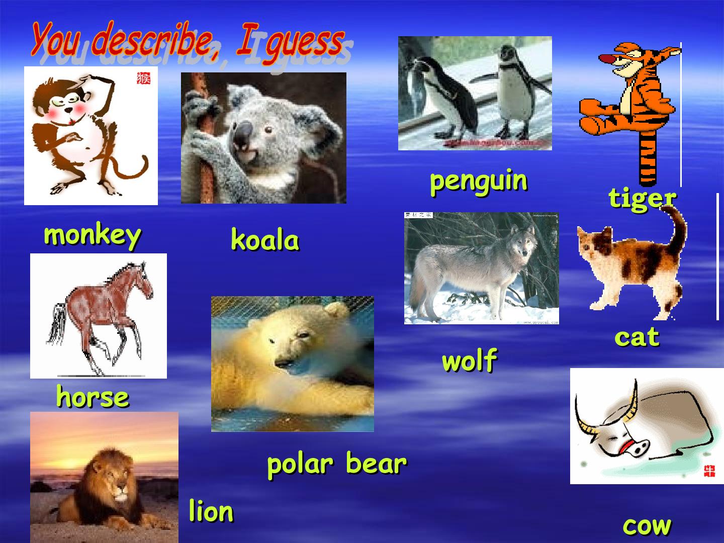 36.jpg