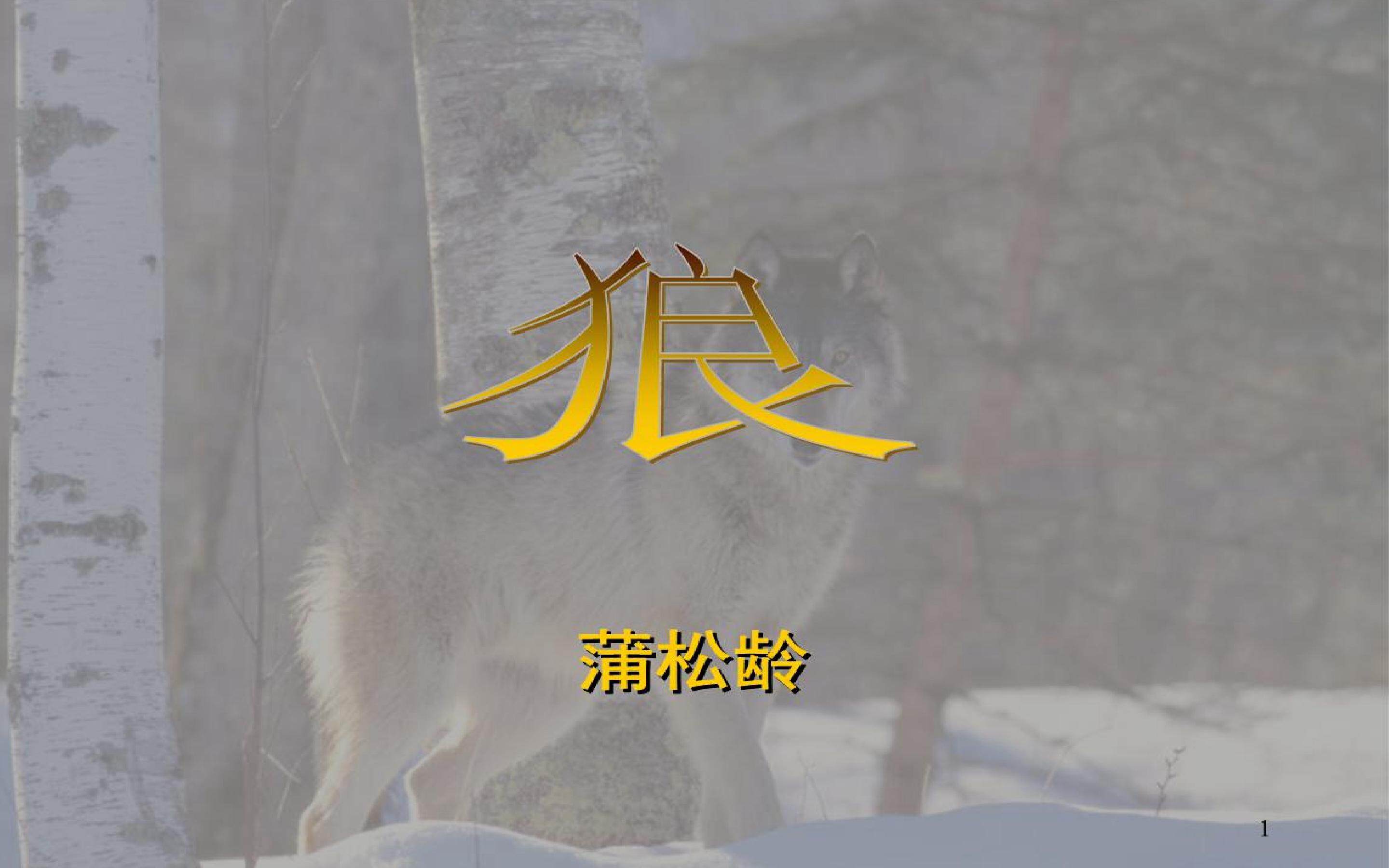 狼
