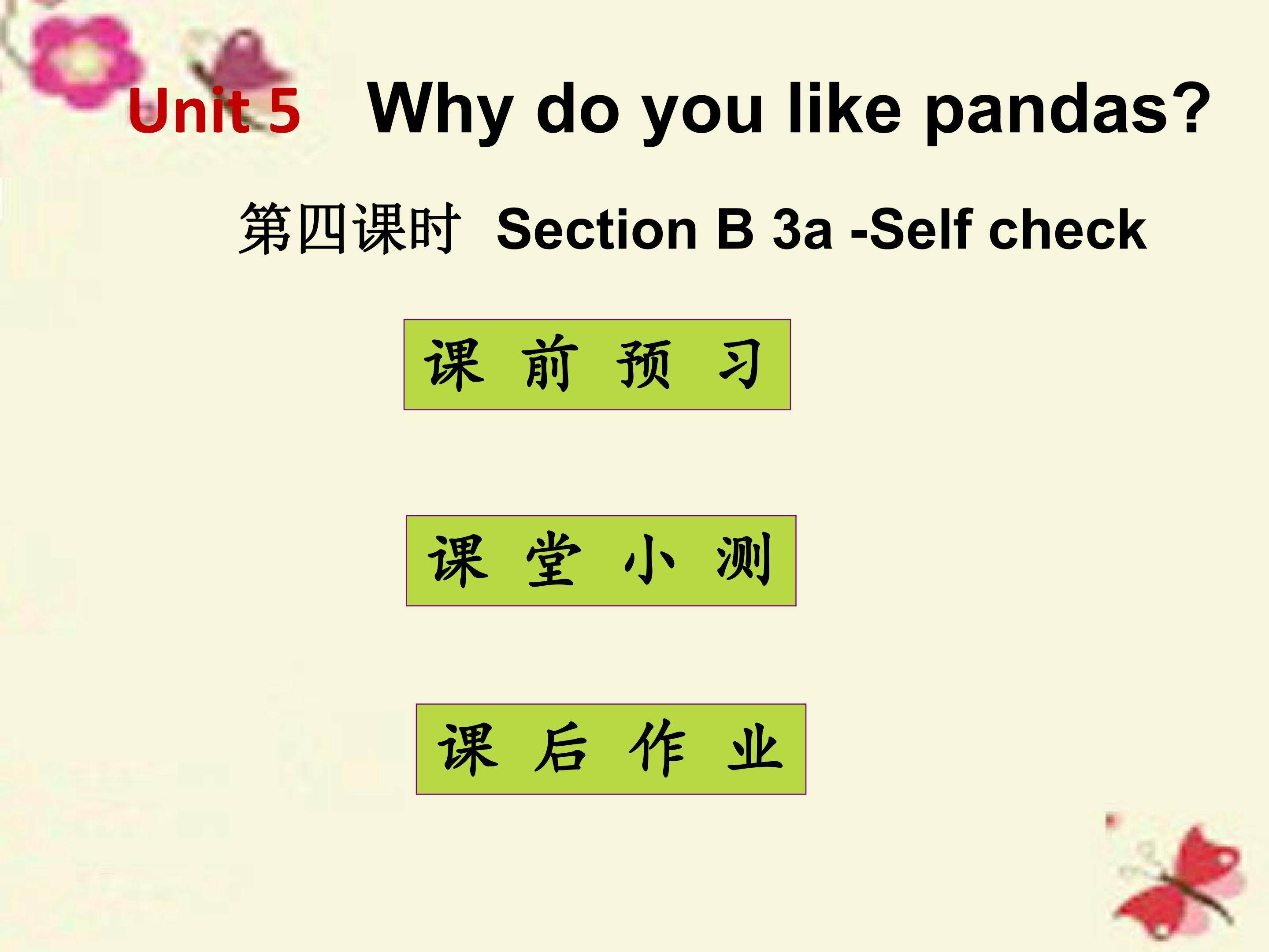Why do you like pandas Section B