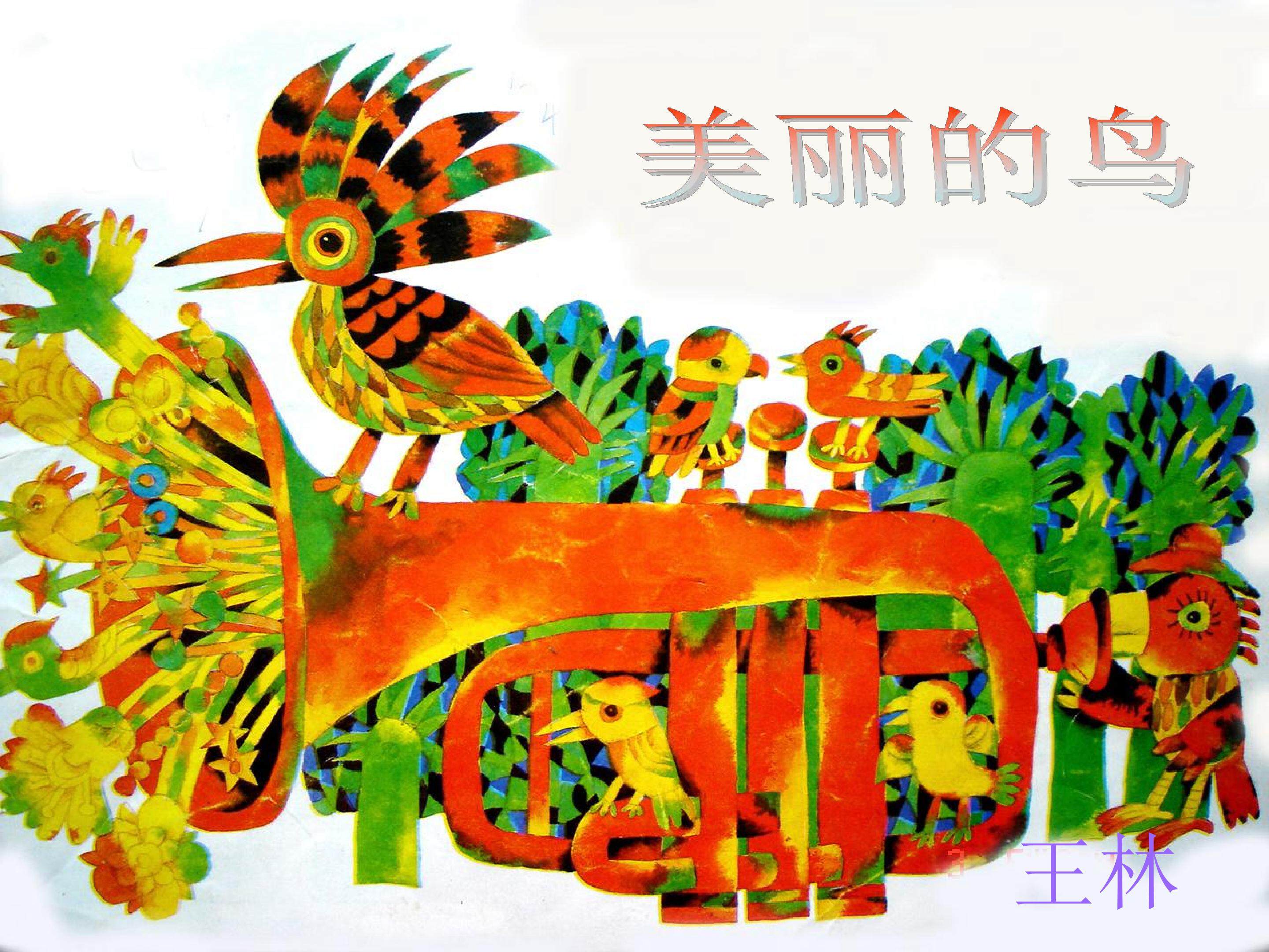 美丽的鸟