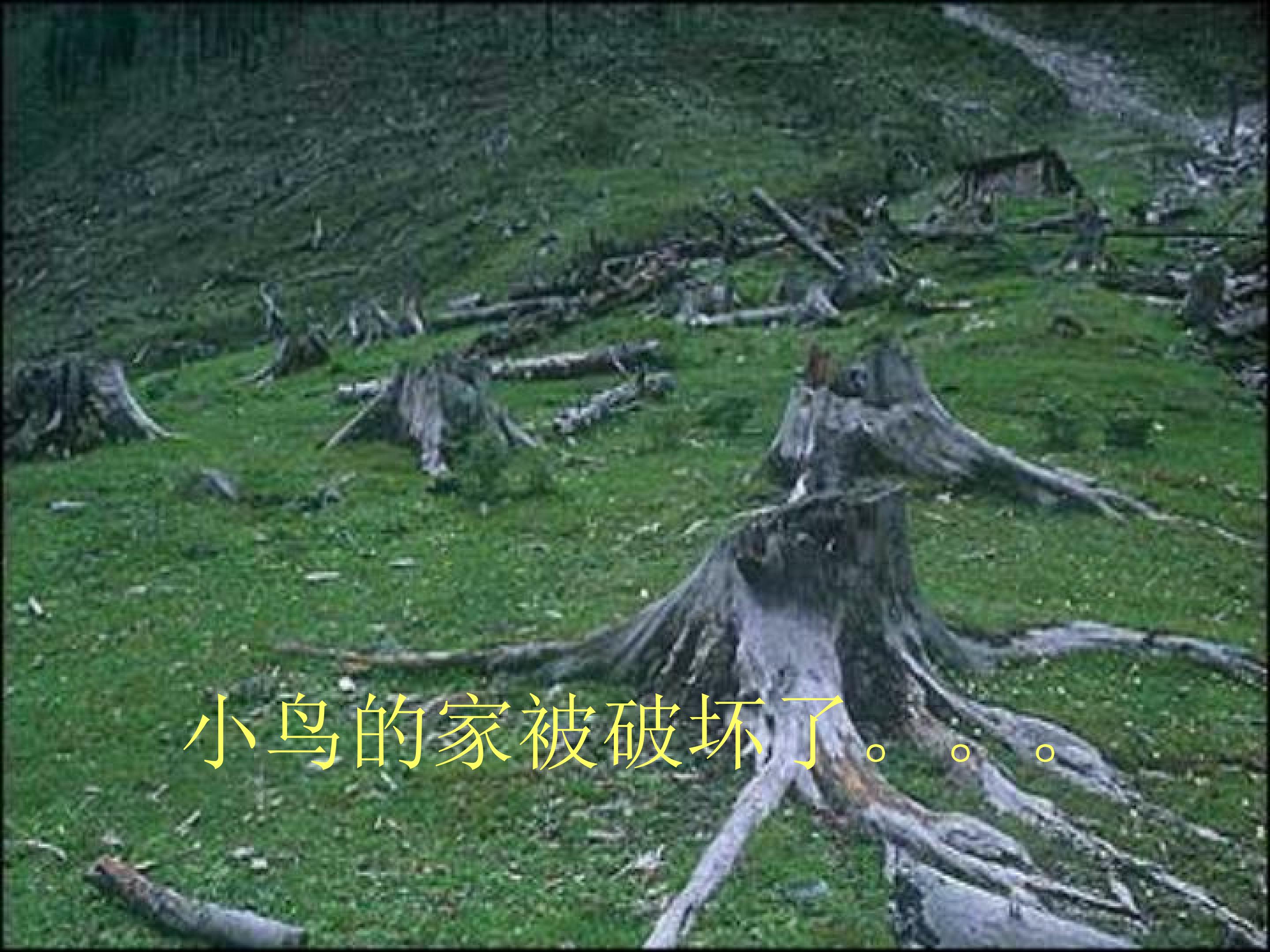 30.jpg