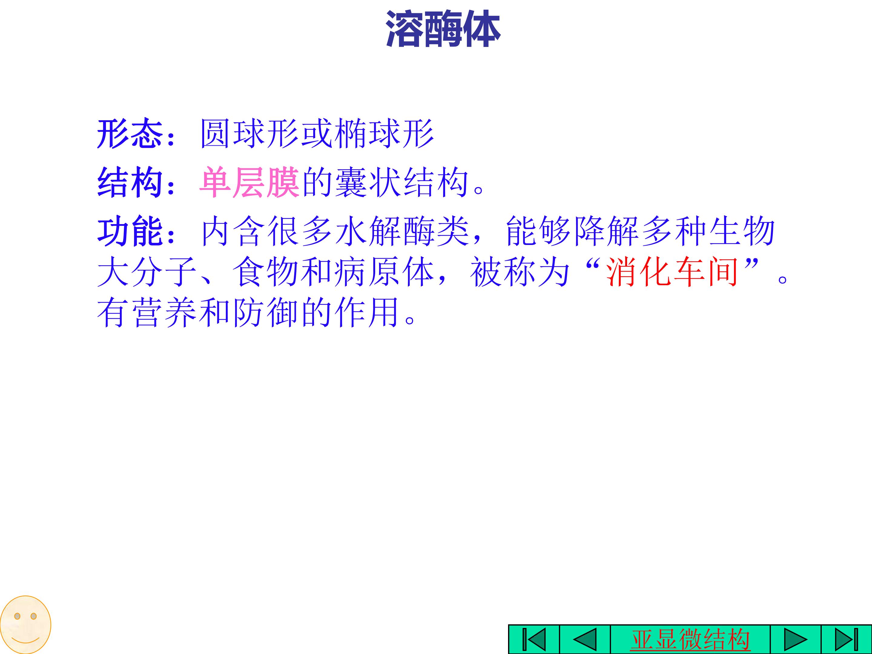49.jpg